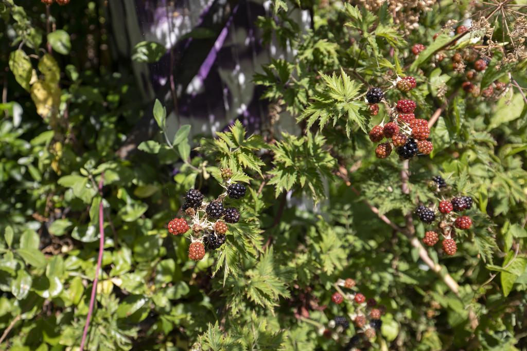 Tweede Jan Steenstraat 100-2, Amsterdam - Afbeelding 34