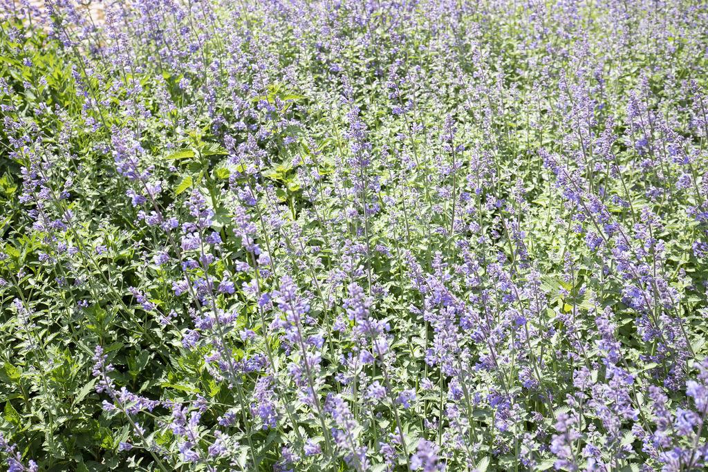 Tweede Jan Steenstraat 100-2, Amsterdam - Afbeelding 40