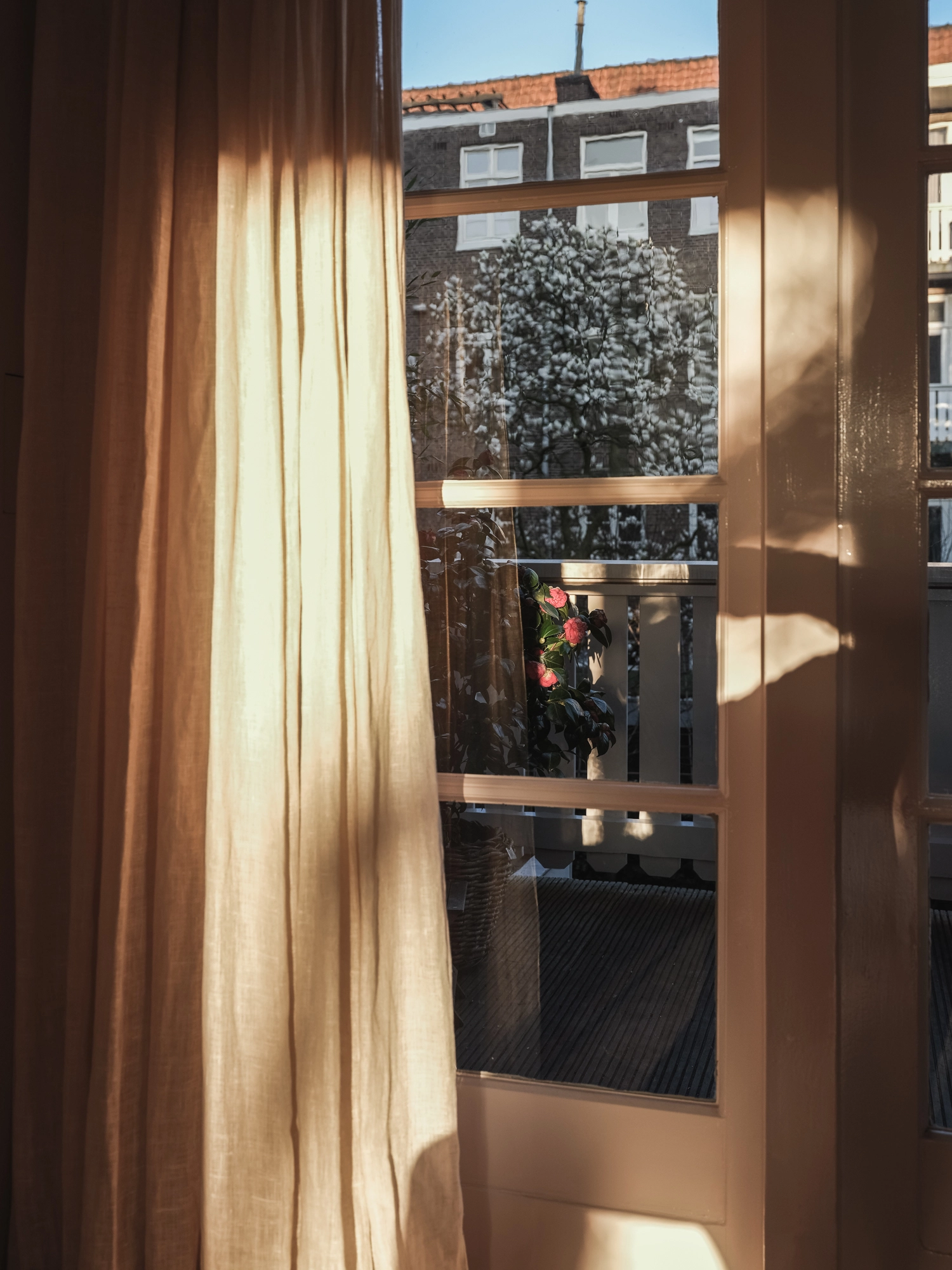 AM106050-2023716-Haringvlietstraat-17-1,-Amsterdam-235084348