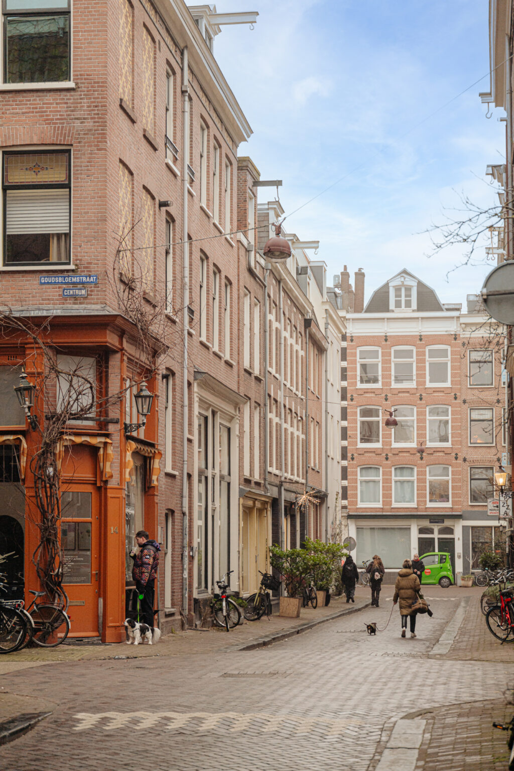 Eerste Goudsbloemdwarsstraat 15A 3, Amsterdam - Afbeelding 34