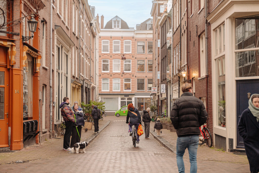Eerste Goudsbloemdwarsstraat 15A 3, Amsterdam - Afbeelding 36