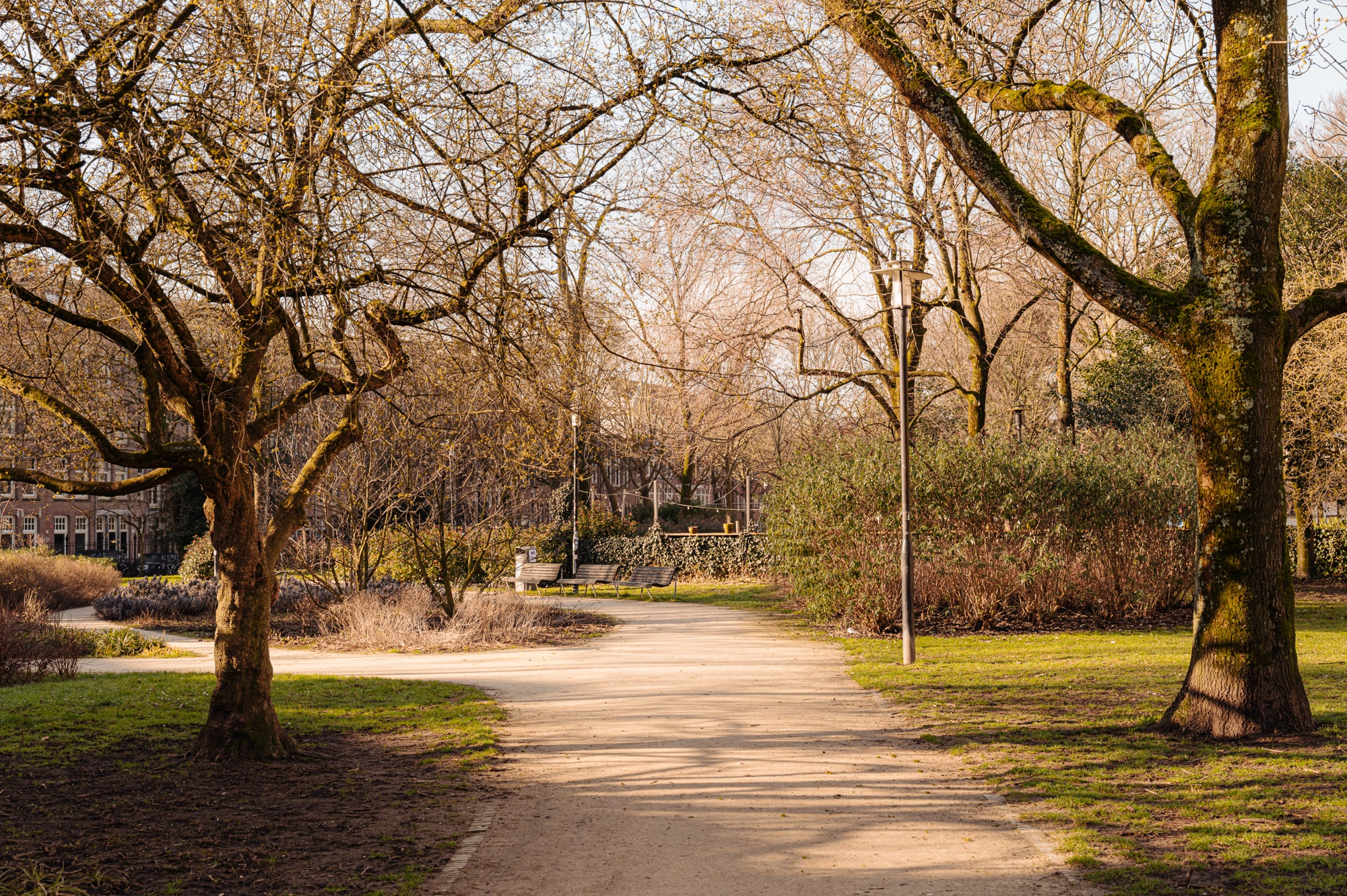 AM106073-1981333-Bilderdijkstraat-11-1,-Amsterdam-220055677