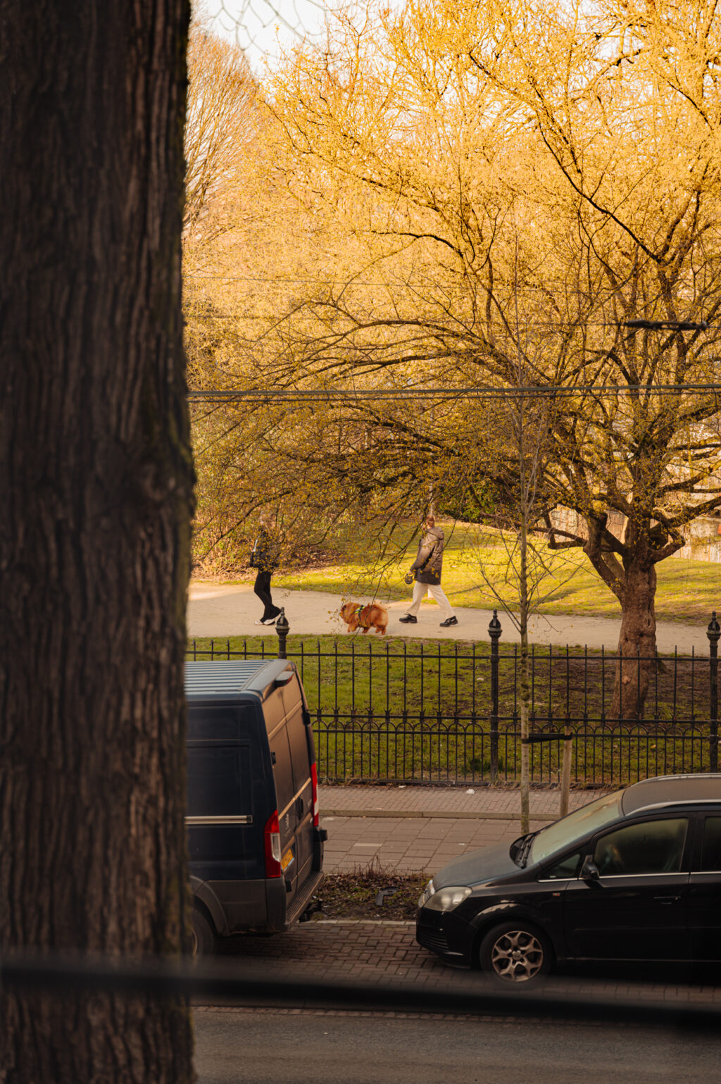 Bilderdijkstraat 11-1, Amsterdam - Afbeelding 7