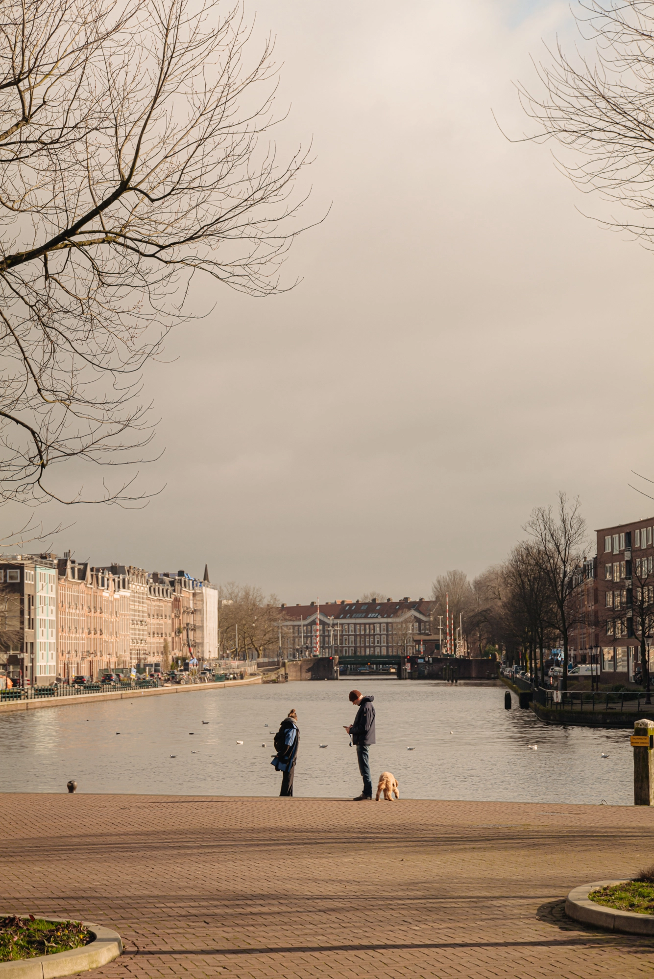 AM106119-1972533-Van-der-Palmkade-102,-Amsterdam-219841717