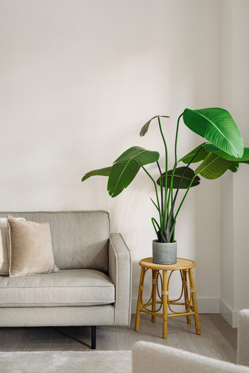 Van Tuyll van Serooskerkenweg 2-1, Amsterdam - Afbeelding 10