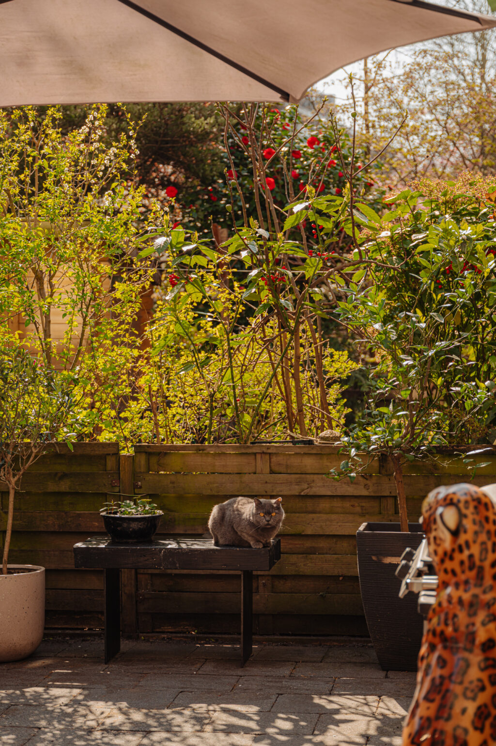 Cabotstraat 21H, Amsterdam - Afbeelding 18