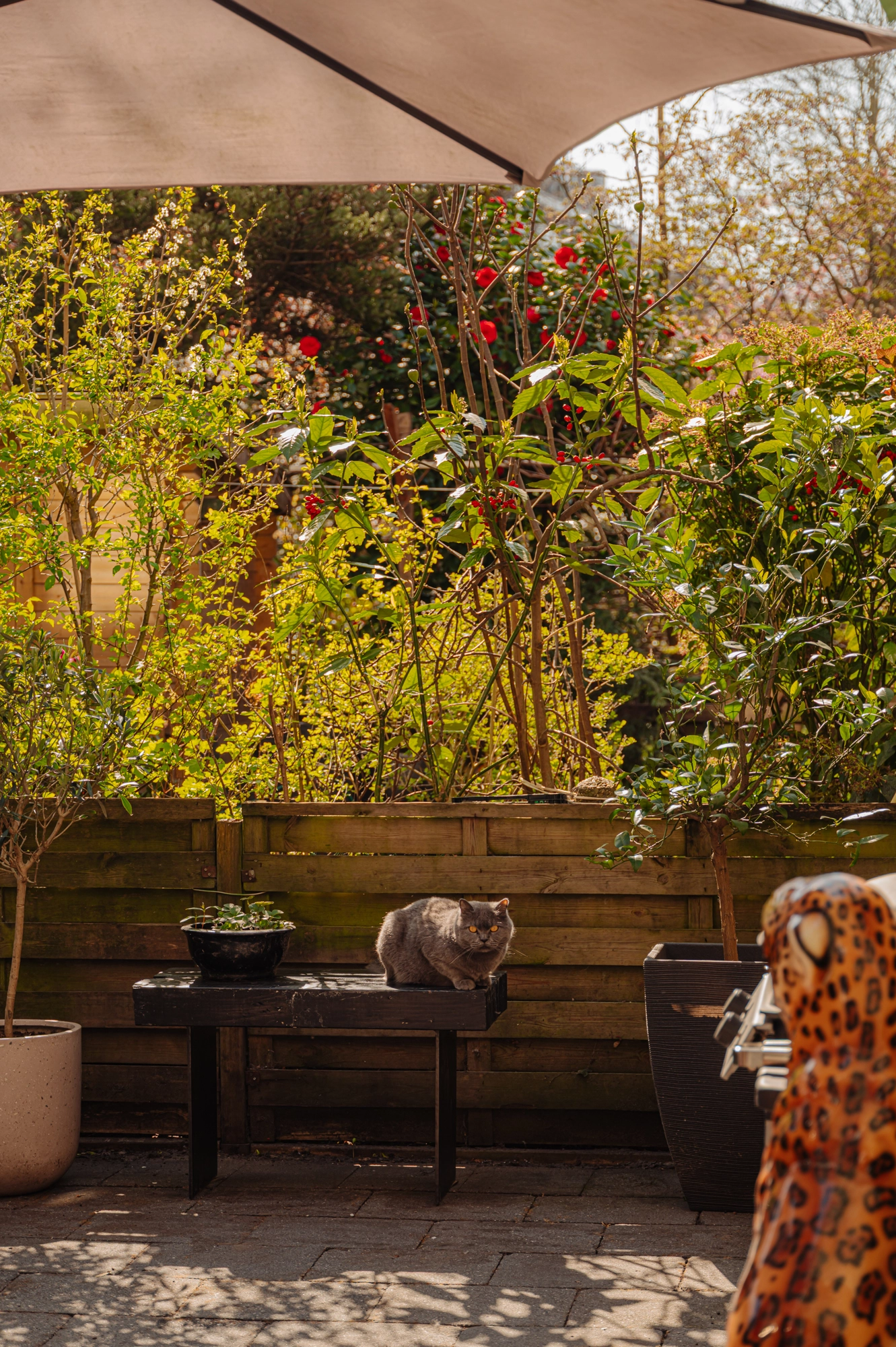 AM106138-1999752-Cabotstraat-21H,-Amsterdam-224501102