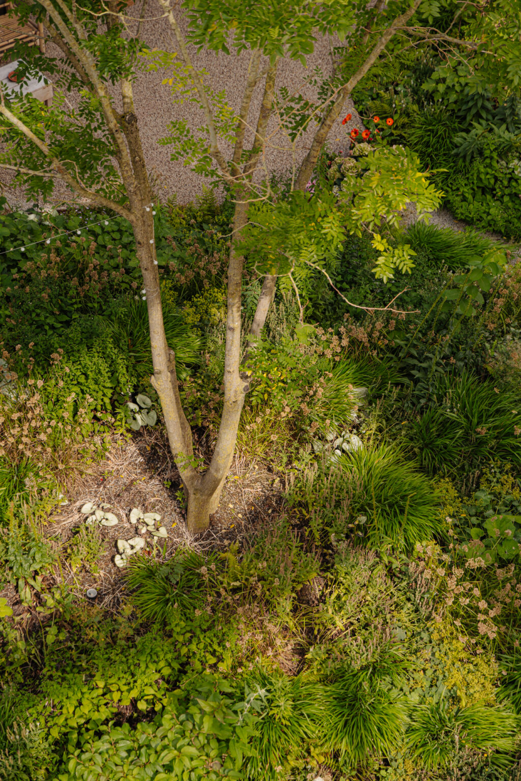 Spadinalaan 421, Amsterdam - Afbeelding 25