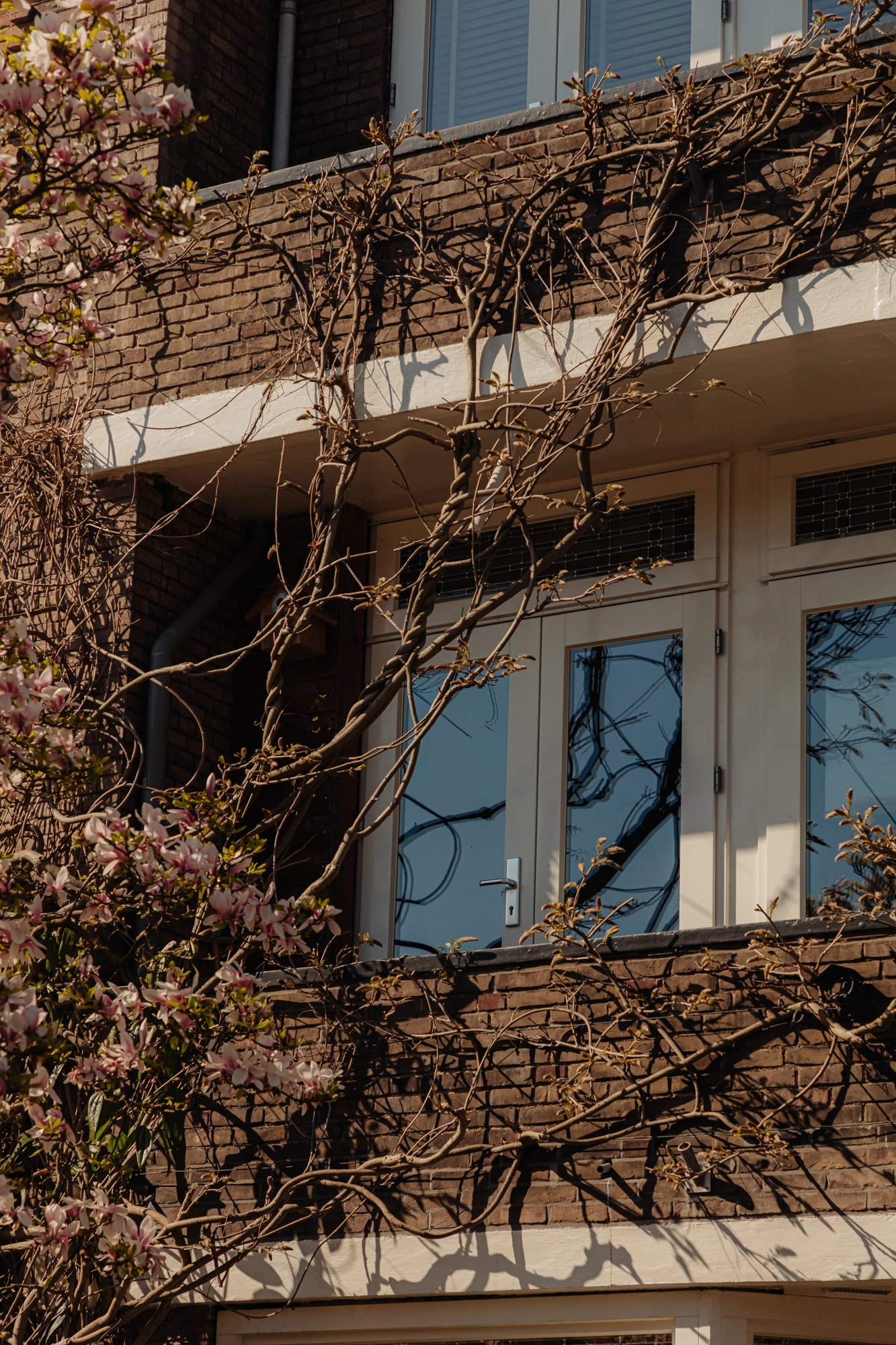 AM106191-1999024-Hoofdweg-37-2,-Amsterdam-224711362