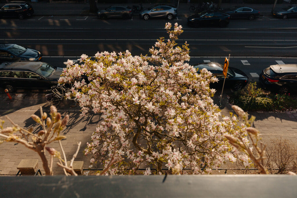 Hoofdweg 37-2, Amsterdam - Afbeelding 11