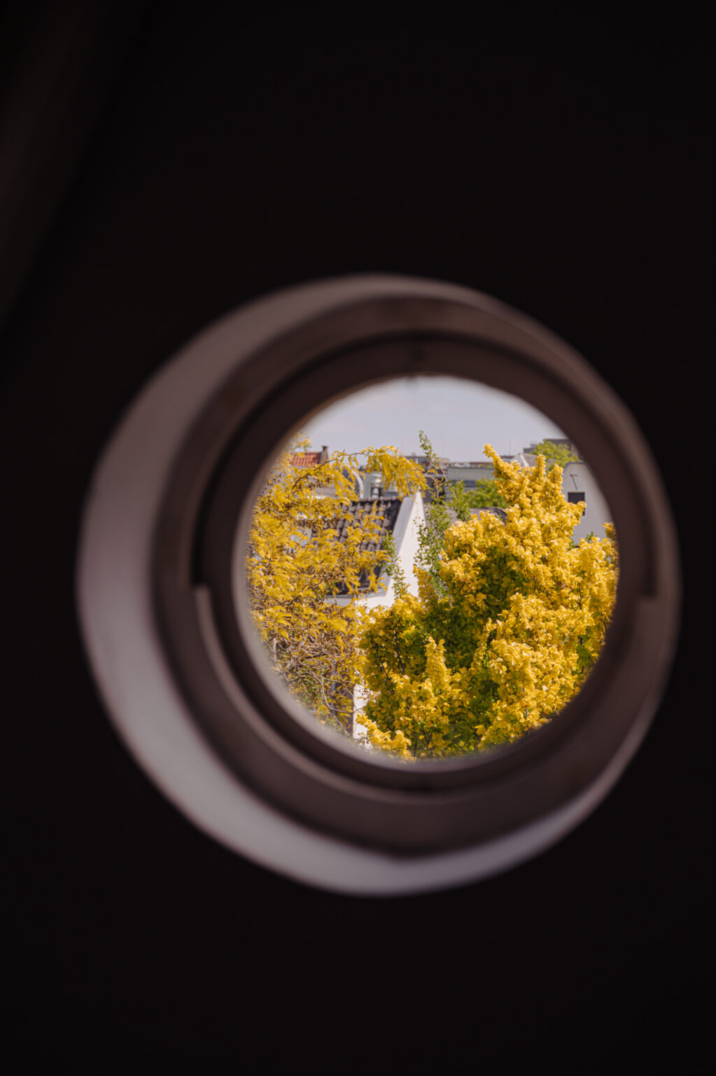 Prinsengracht 403C, Amsterdam - Afbeelding 31