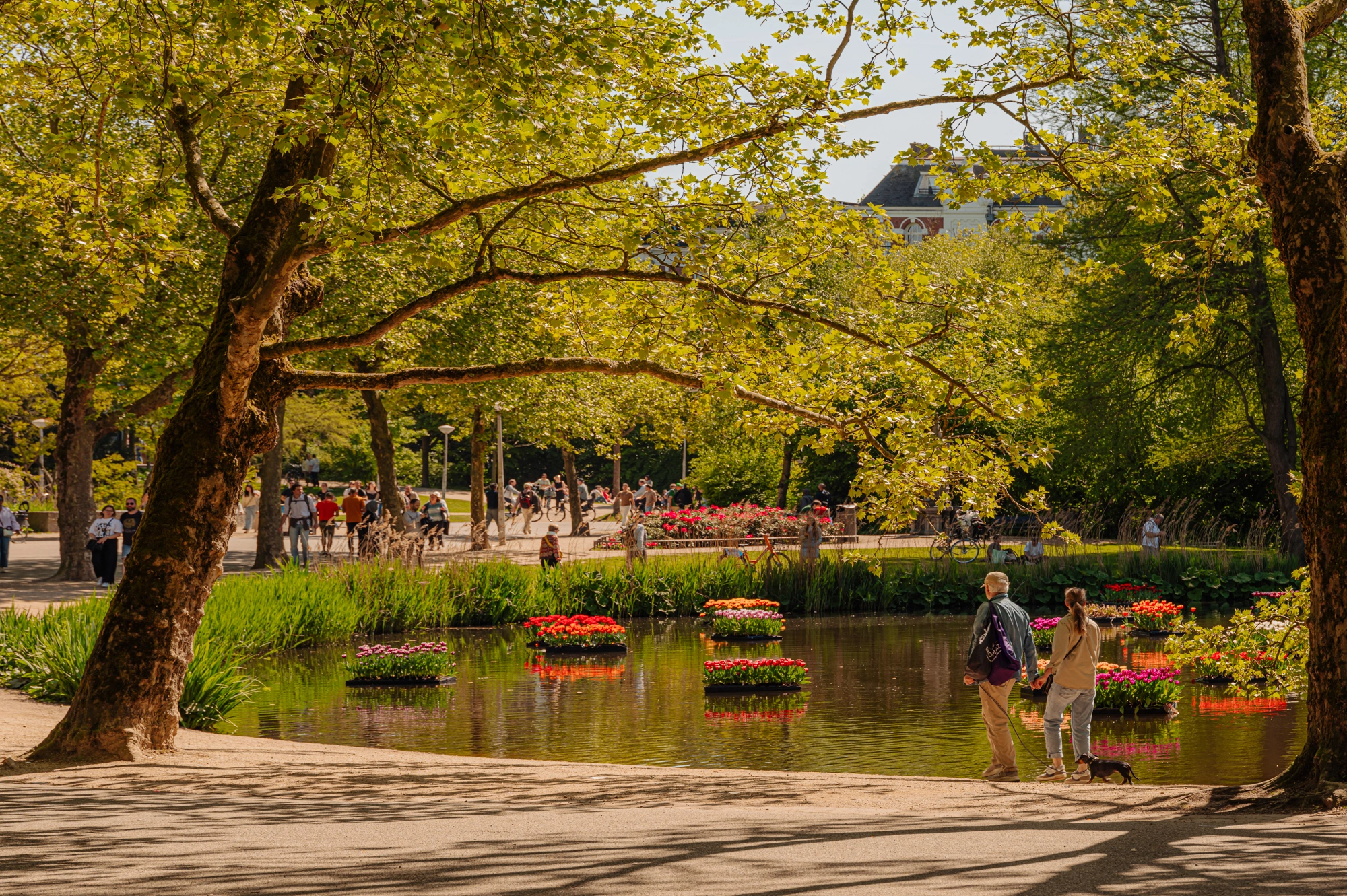 AM106231-2002453-Vondelstraat-180-hs,-Amsterdam-227339420