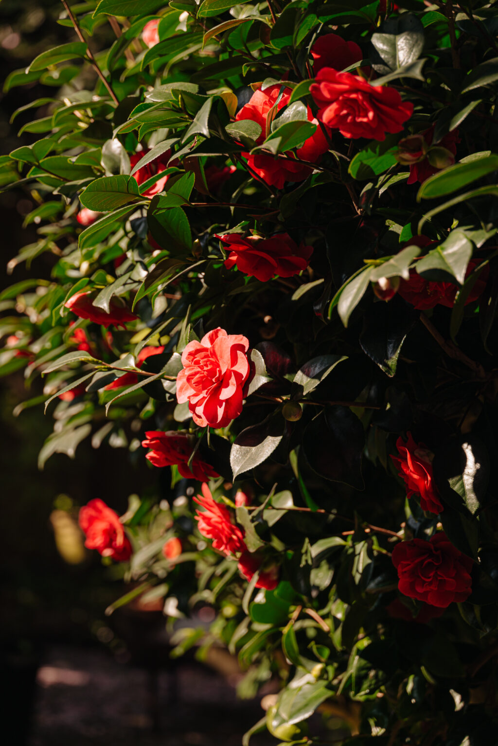 Valeriusstraat 146H, Amsterdam - Afbeelding 18