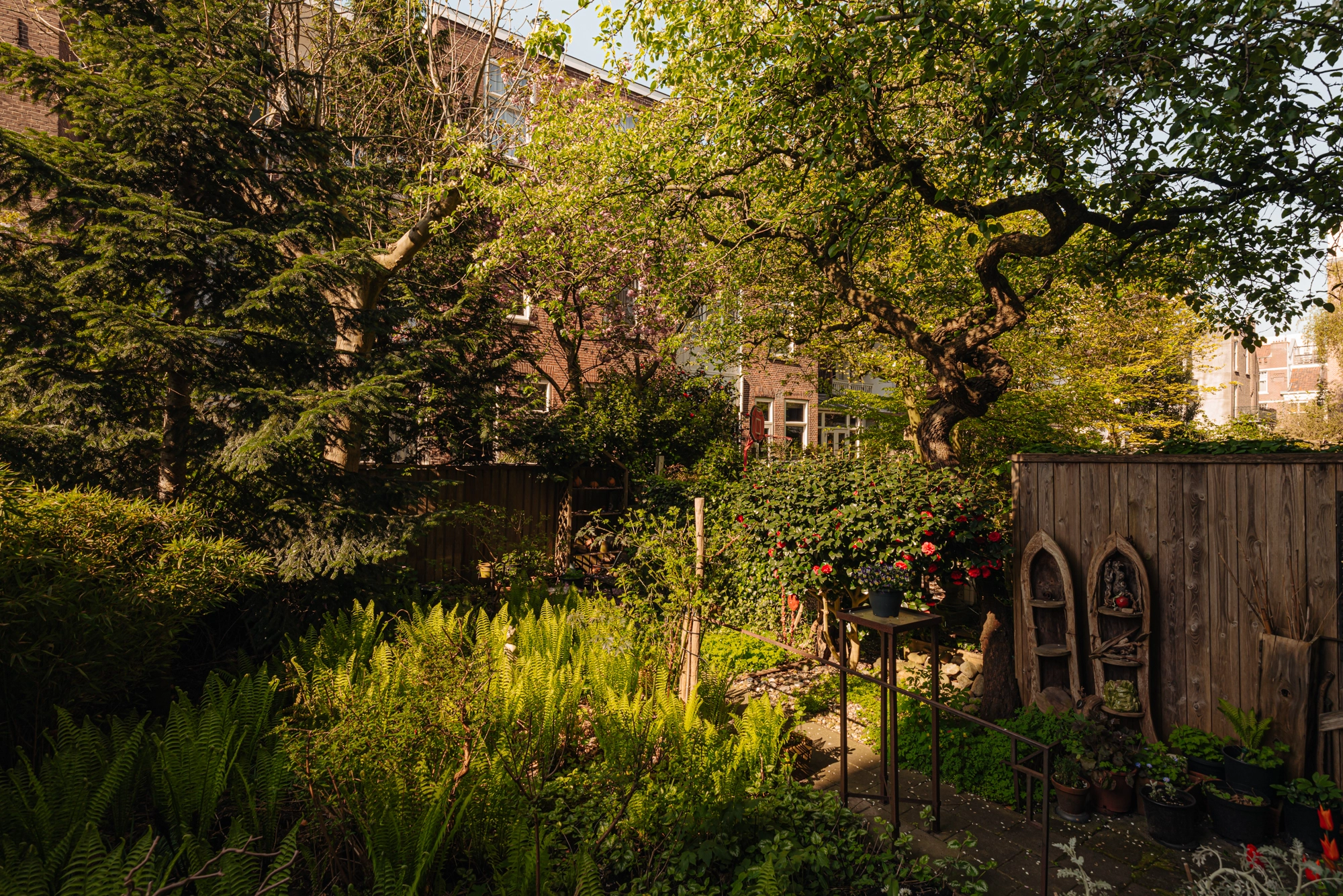 AM106241-2002673-Valeriusstraat-146H,-Amsterdam-226883844