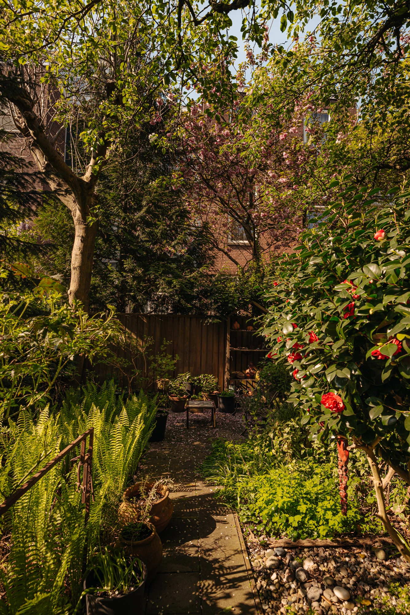 AM106241-2002673-Valeriusstraat-146H,-Amsterdam-226883862