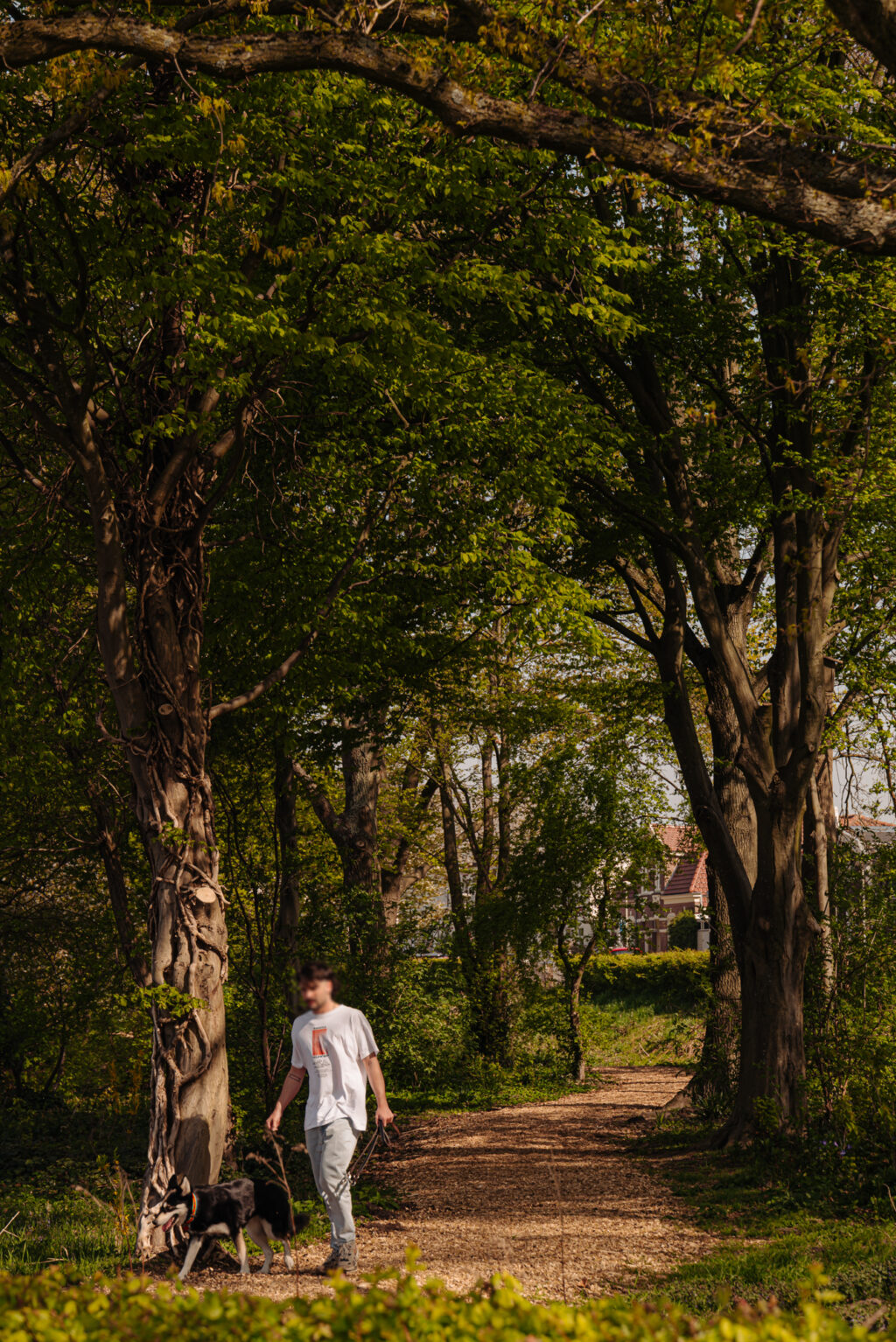 Nieuwendammerdijk 307, Amsterdam - Afbeelding 86