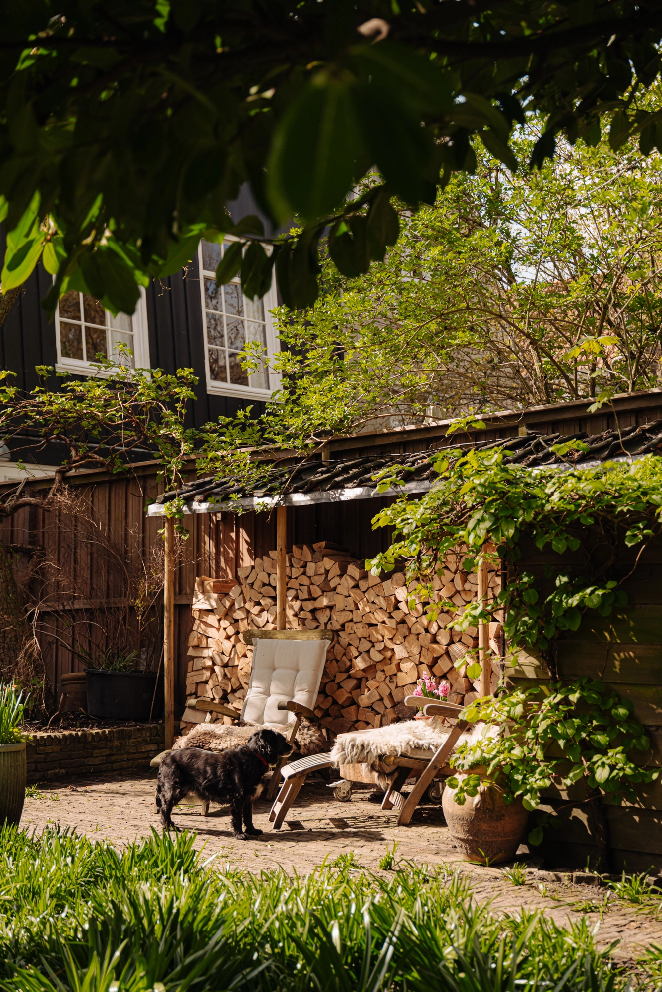 AM106245-2001658-Nieuwendammerdijk-307,-Amsterdam-225809474