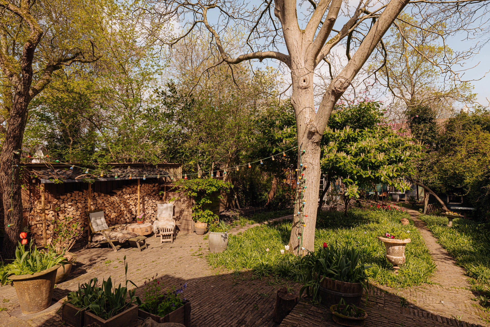 AM106245-2001658-Nieuwendammerdijk-307,-Amsterdam-225809526