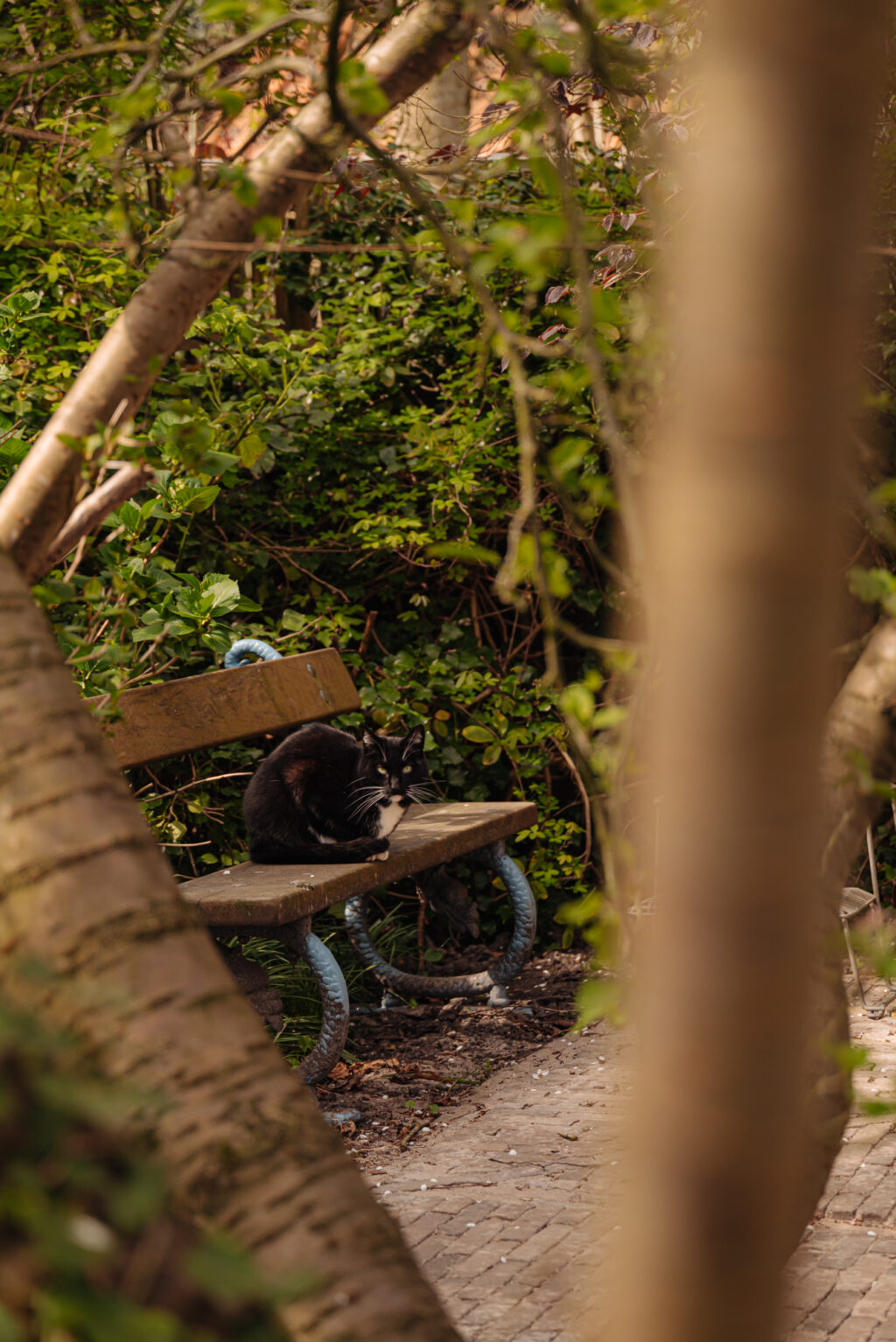 Nieuwendammerdijk 307, Amsterdam - Afbeelding 40