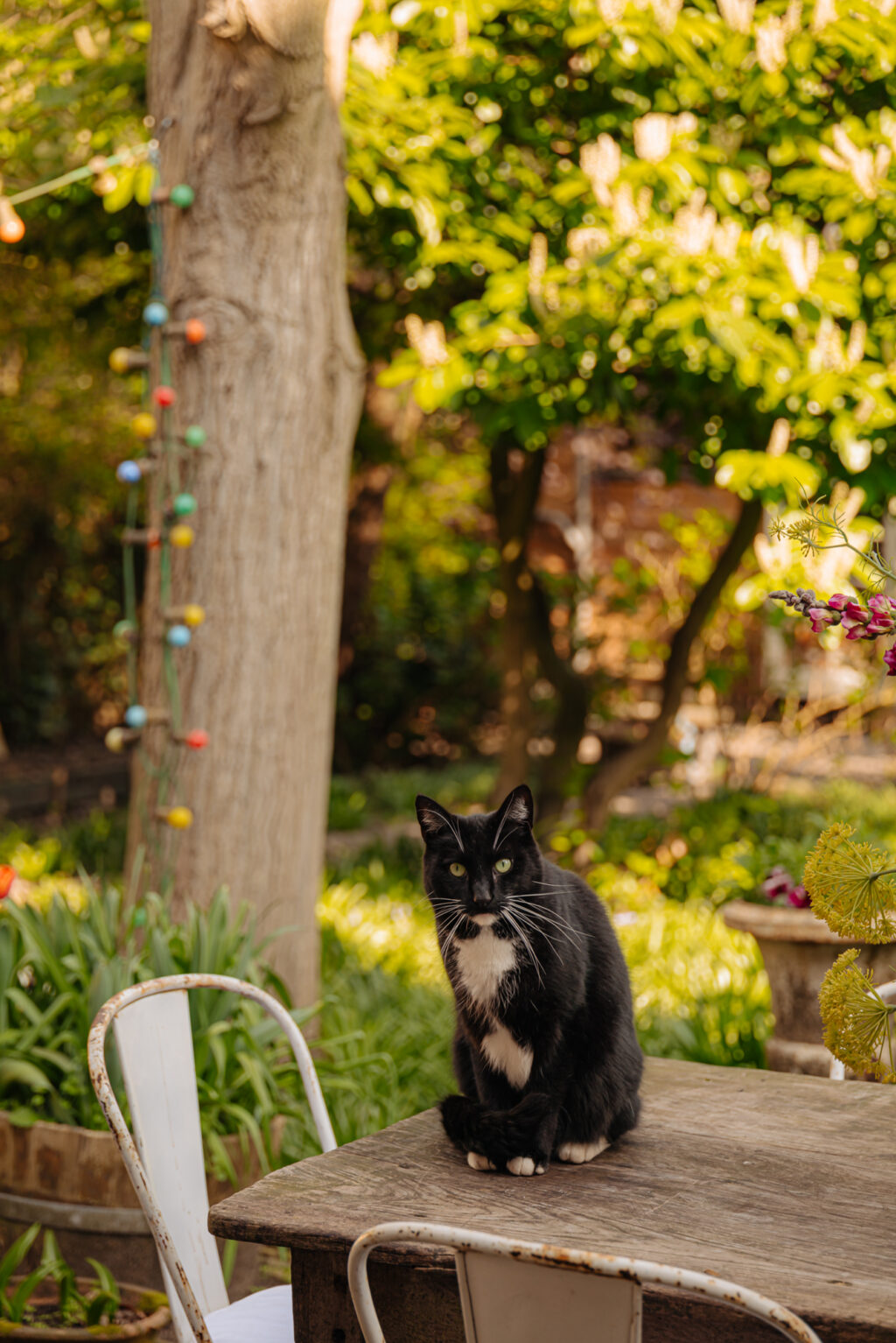 Nieuwendammerdijk 307, Amsterdam - Afbeelding 49