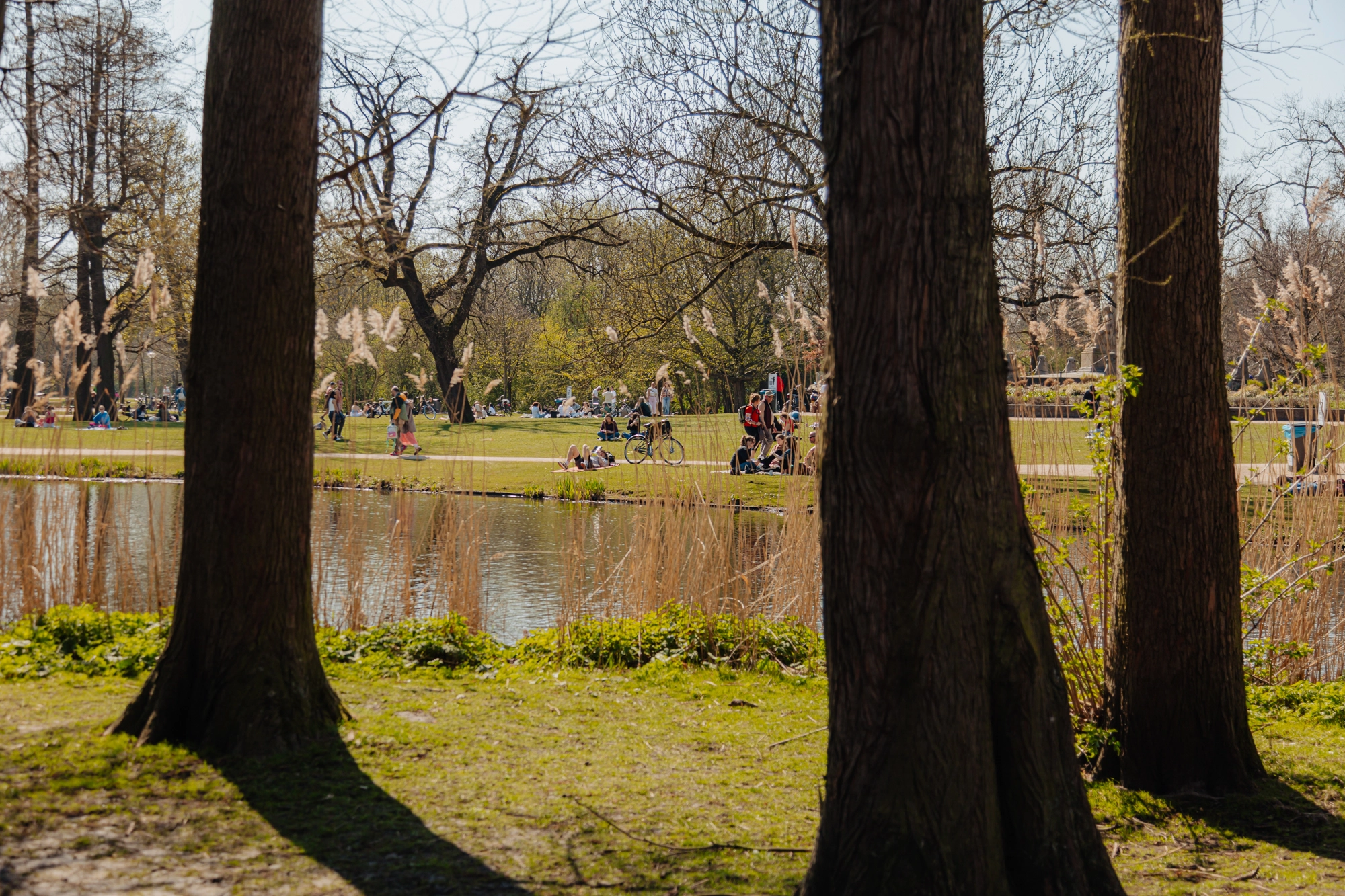 AM106246-1997813-Roemer-Visscherstraat-46,-Amsterdam-224706878