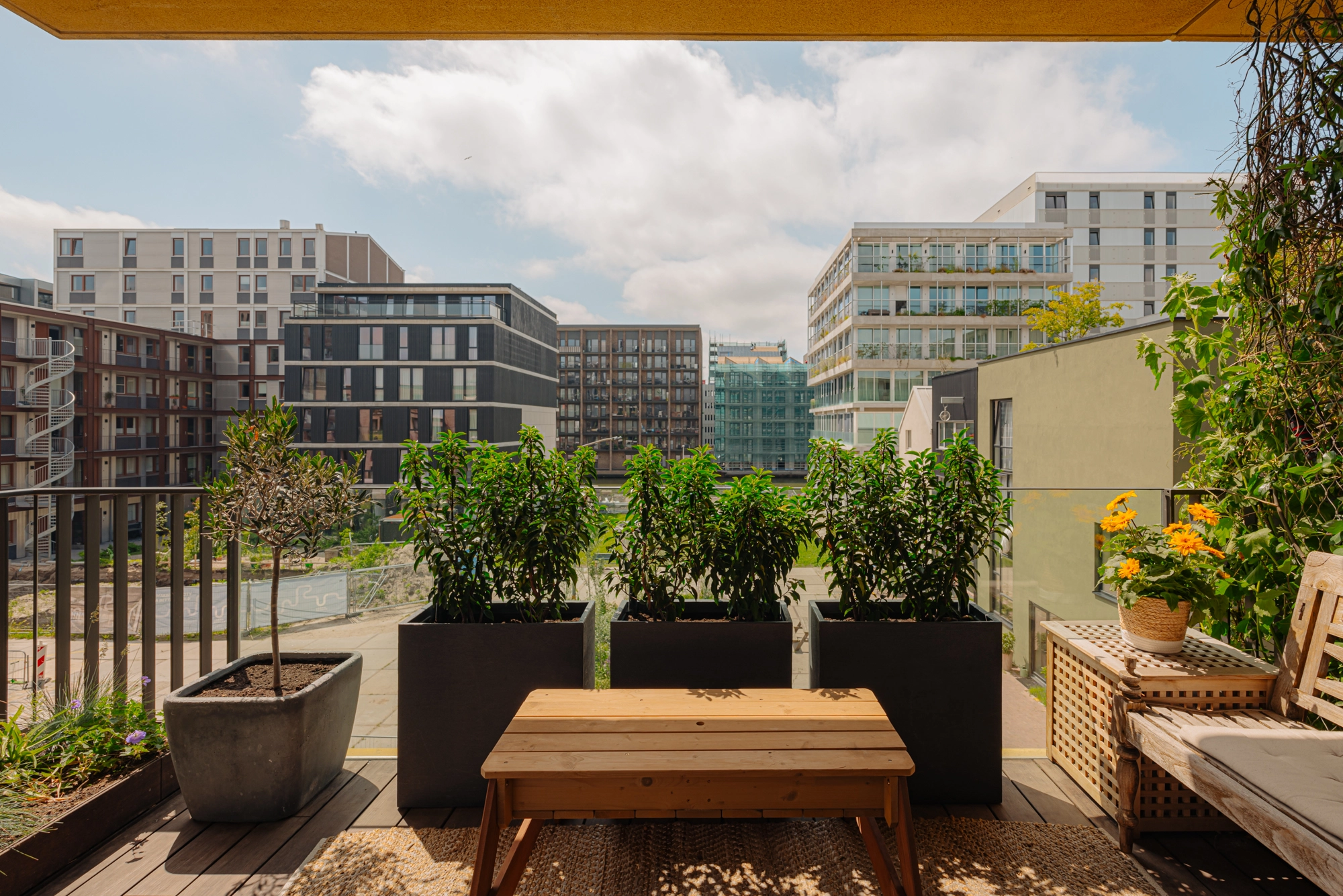 AM106253-2018623-Distelweg-285,-Amsterdam-232570988