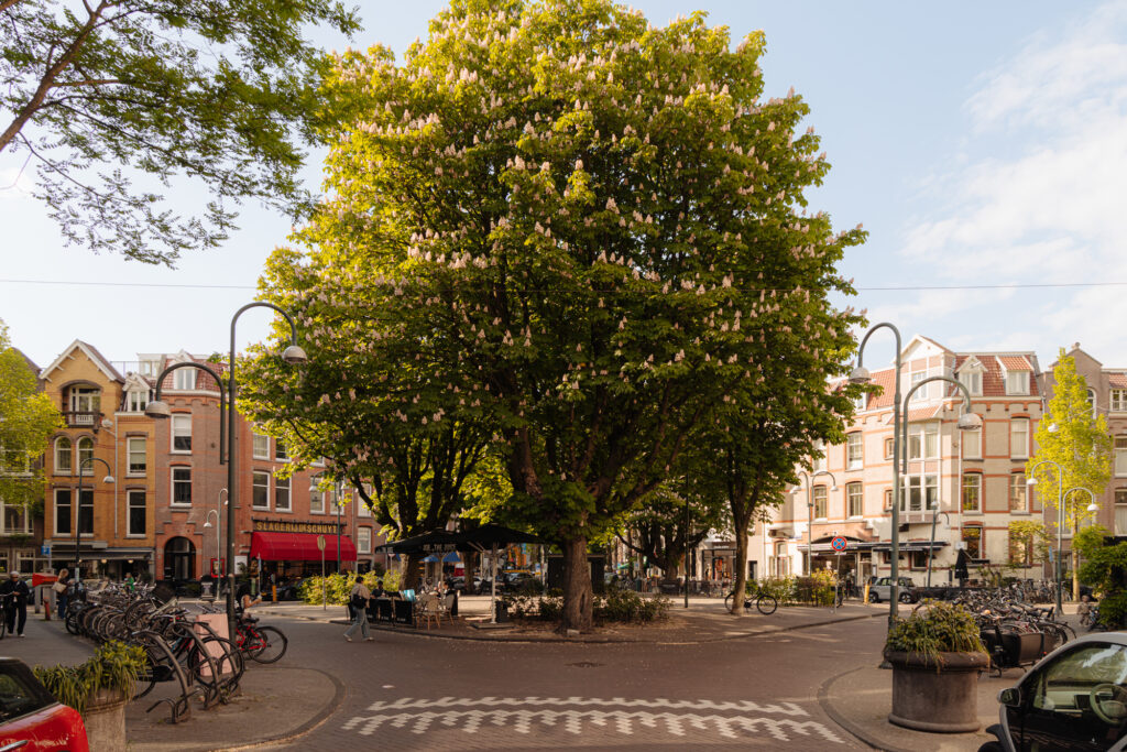 De Lairessestraat 77, Amsterdam - Afbeelding 58