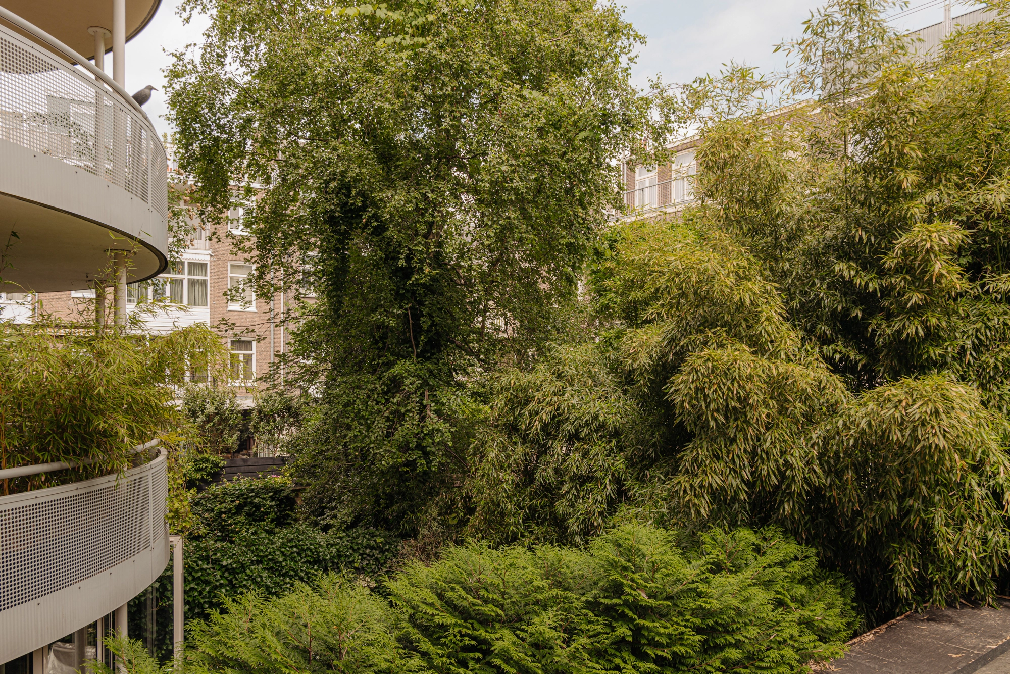 AM106270-2025470-Pieter-de-Hoochstraat-5G,-Amsterdam-236239230