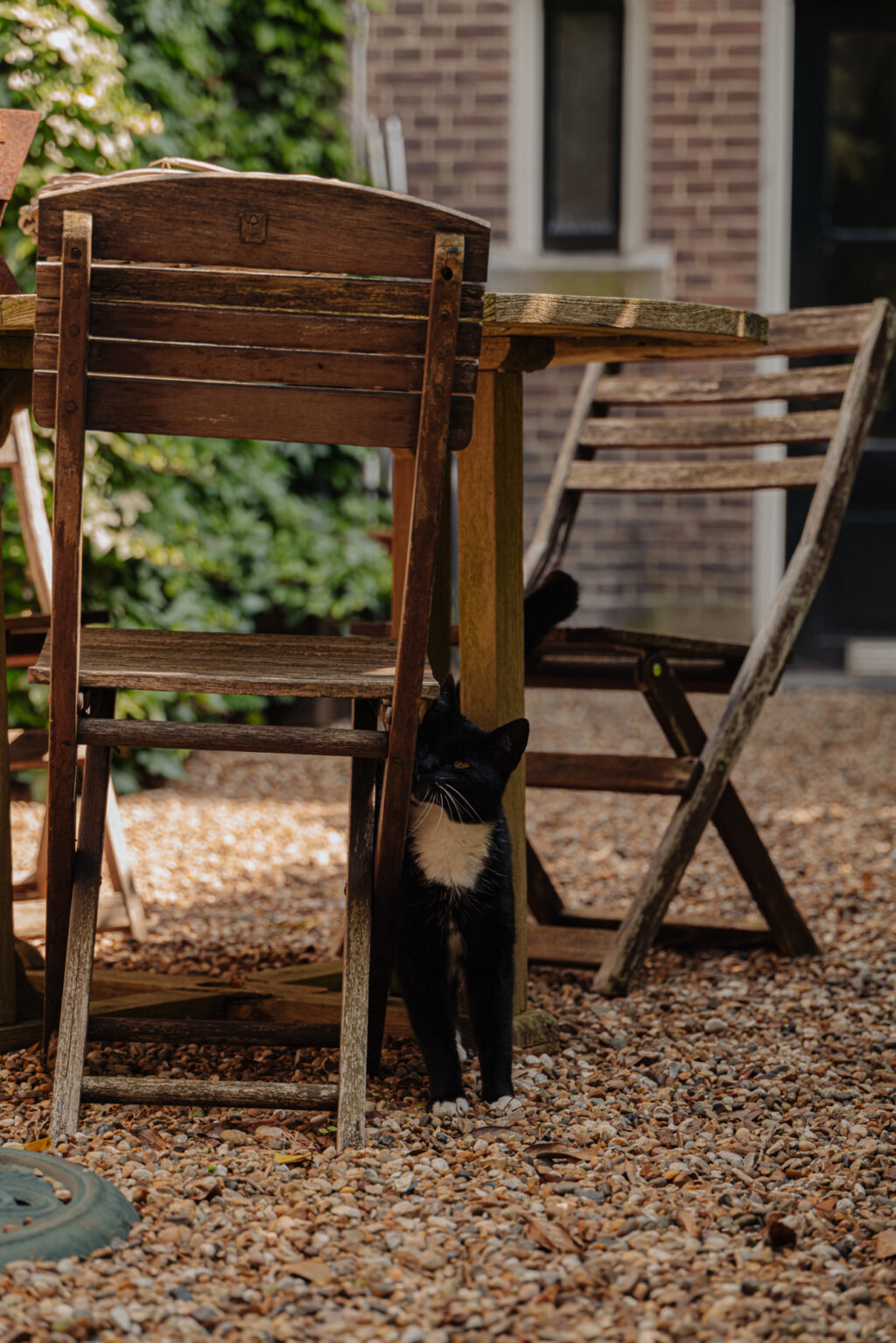 Vondelstraat 42A, Amsterdam - Afbeelding 13