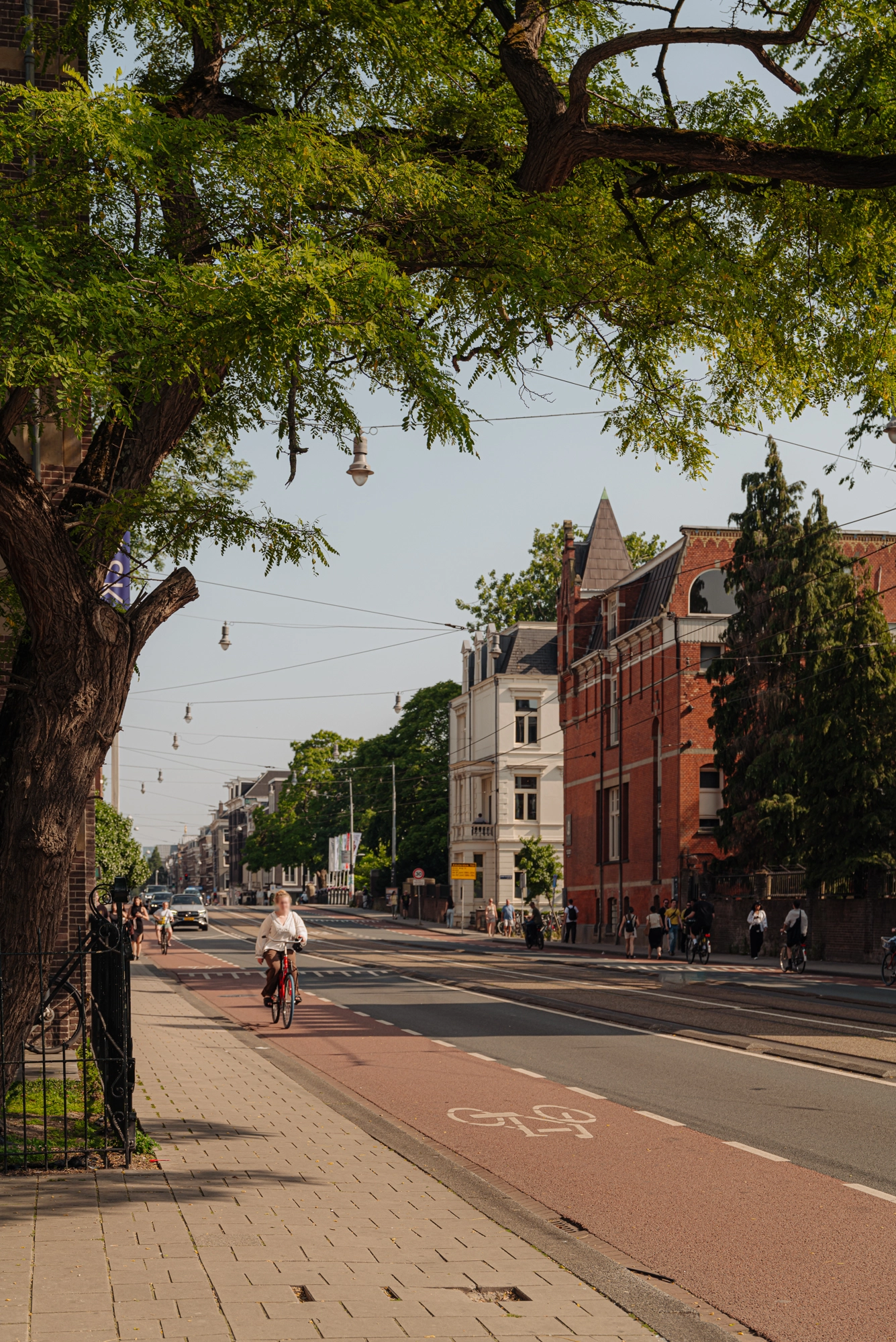 AM106295-2024194-Vondelstraat-42A,-Amsterdam-235635472