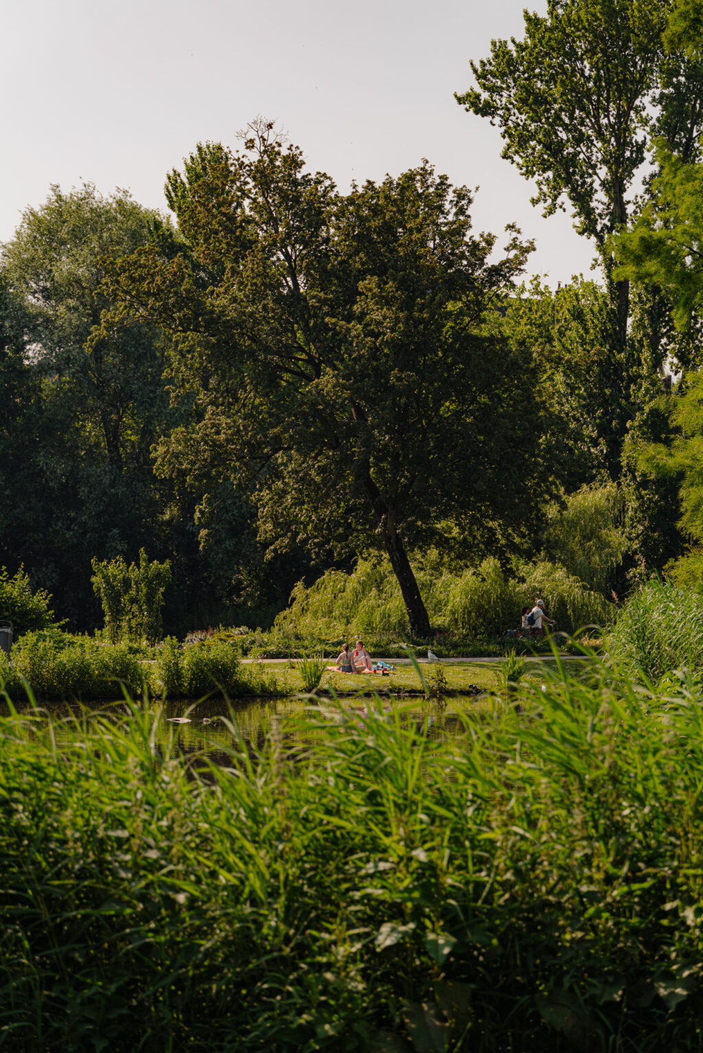 Vondelstraat 42A, Amsterdam - Afbeelding 46