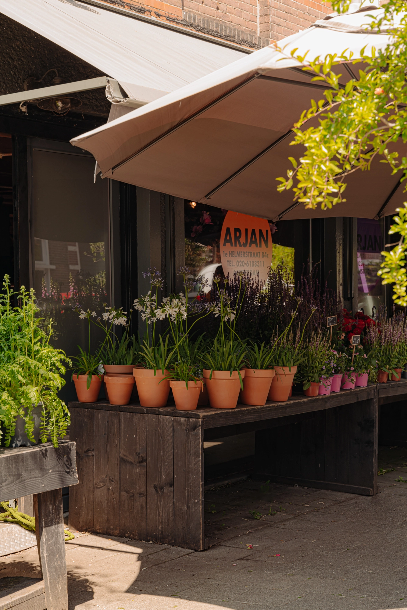 AM106295-2024194-Vondelstraat-42A,-Amsterdam-235635532