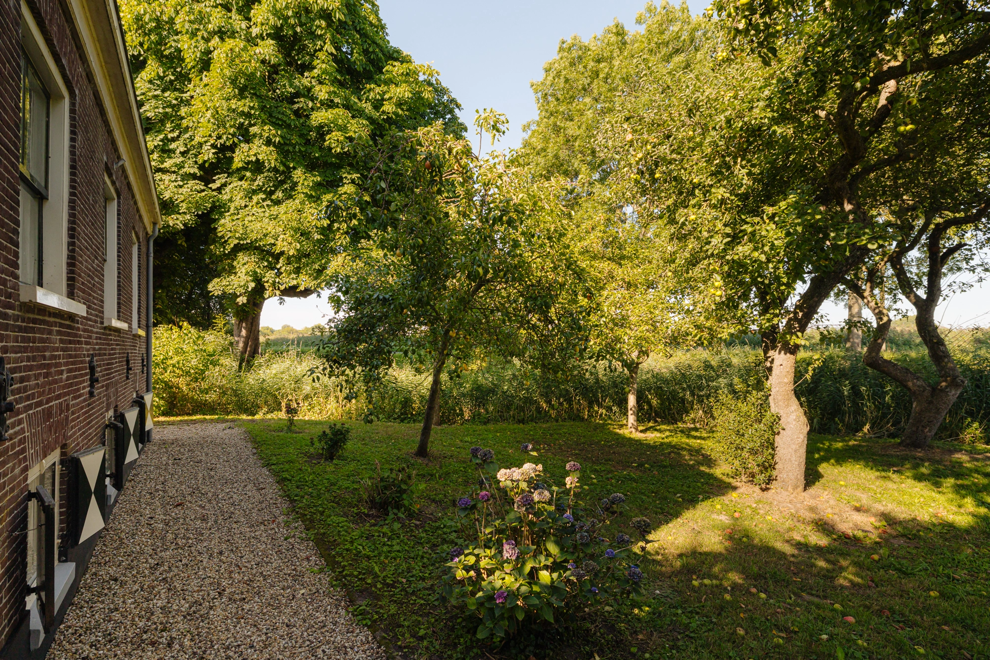 AM106297-2045577-Dammerweg-10,-Weesp-242369800