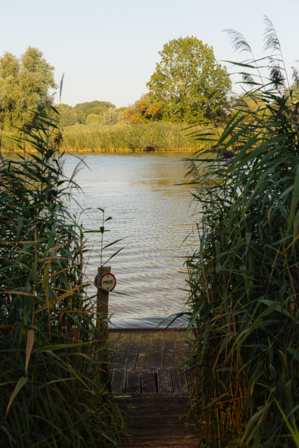 Dammerweg 10, Weesp - Afbeelding 72