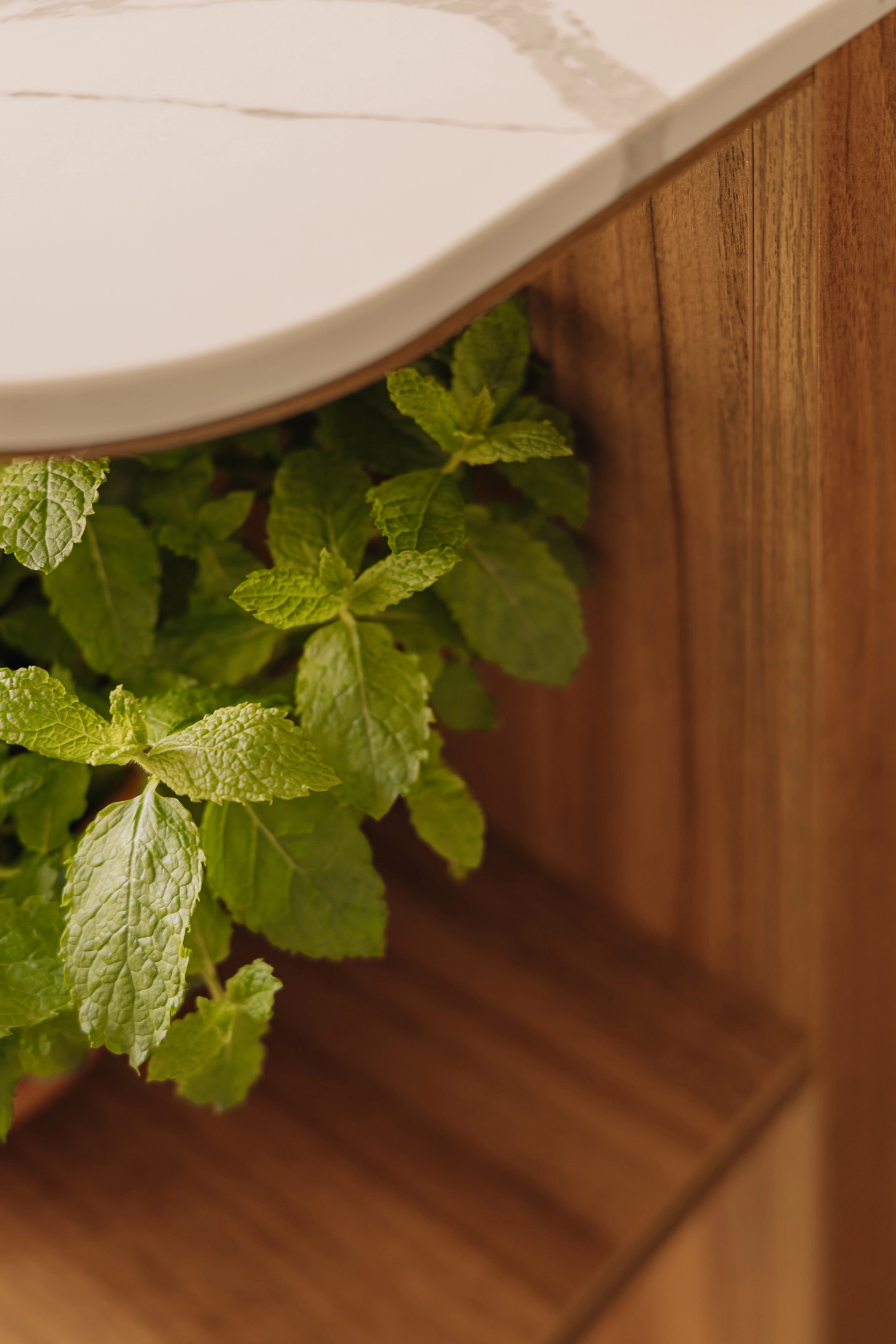 AM106324-2017775-Van-Hogendorpstraat-158H,-Amsterdam-232218934