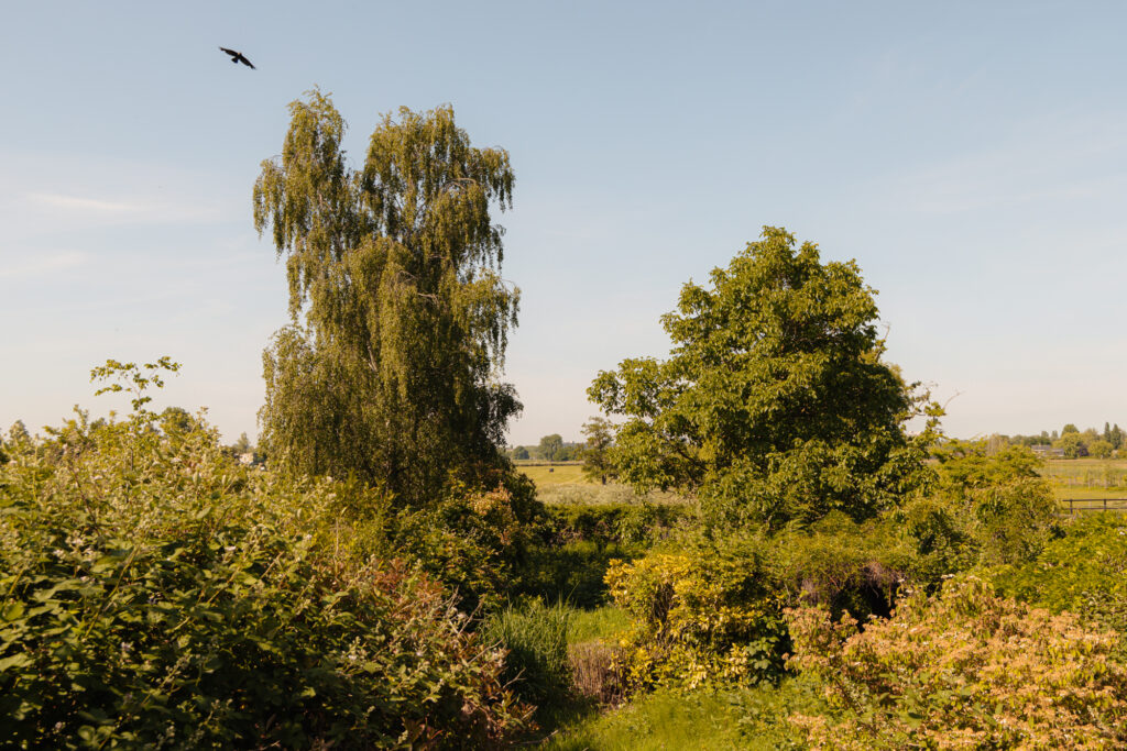 Amsteldijk Noord 137, Amstelveen - Afbeelding 5