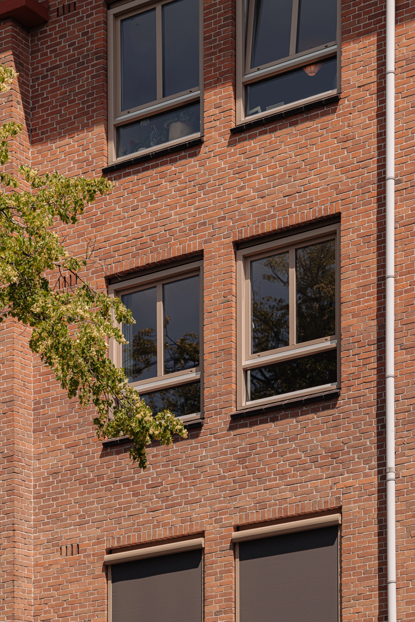 AM106401-2022715-Jan-den-Haenstraat-14C,-Amsterdam-234977524