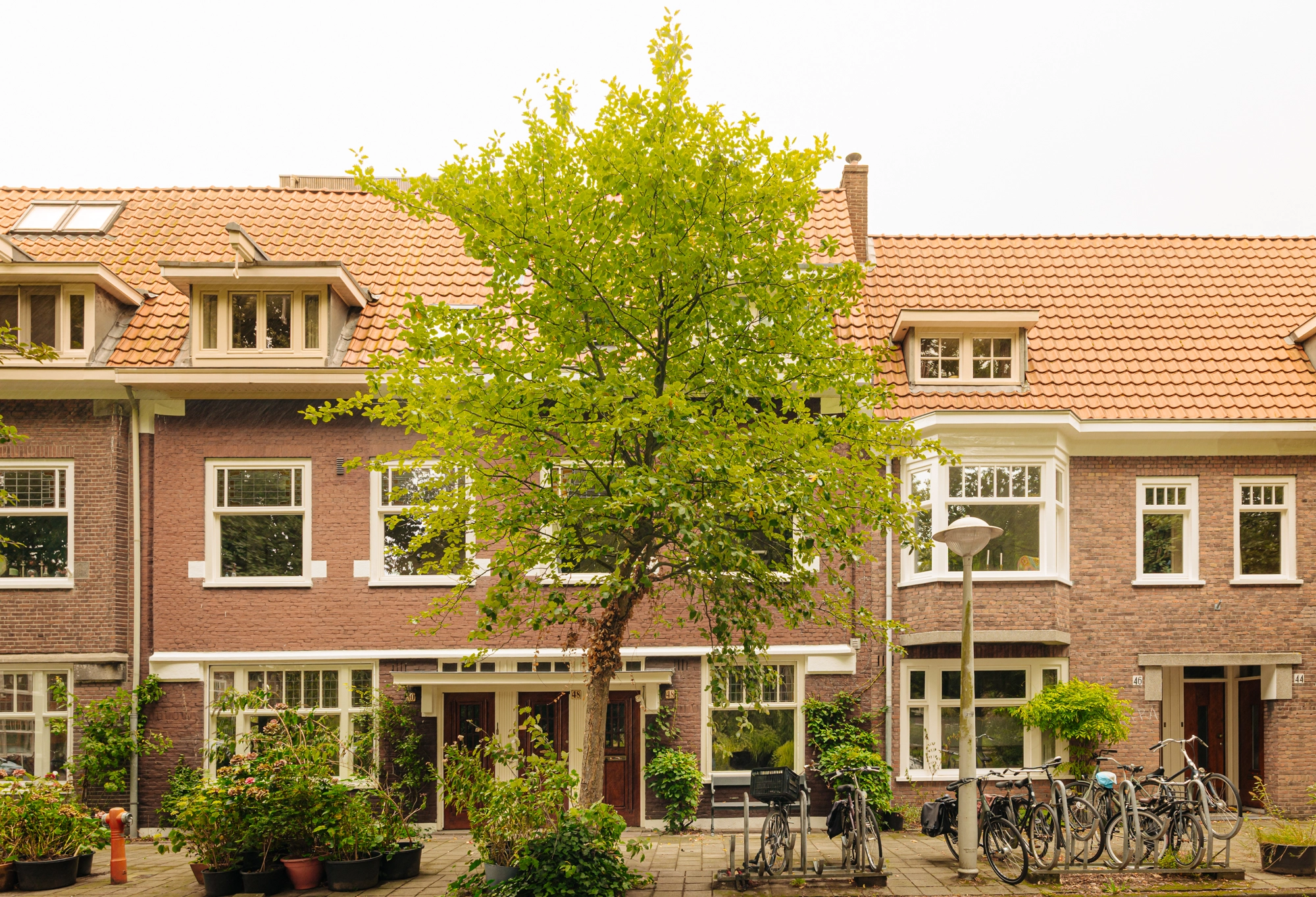 AM106442-2054211-Voltaplein-48H,-Amsterdam-244180330