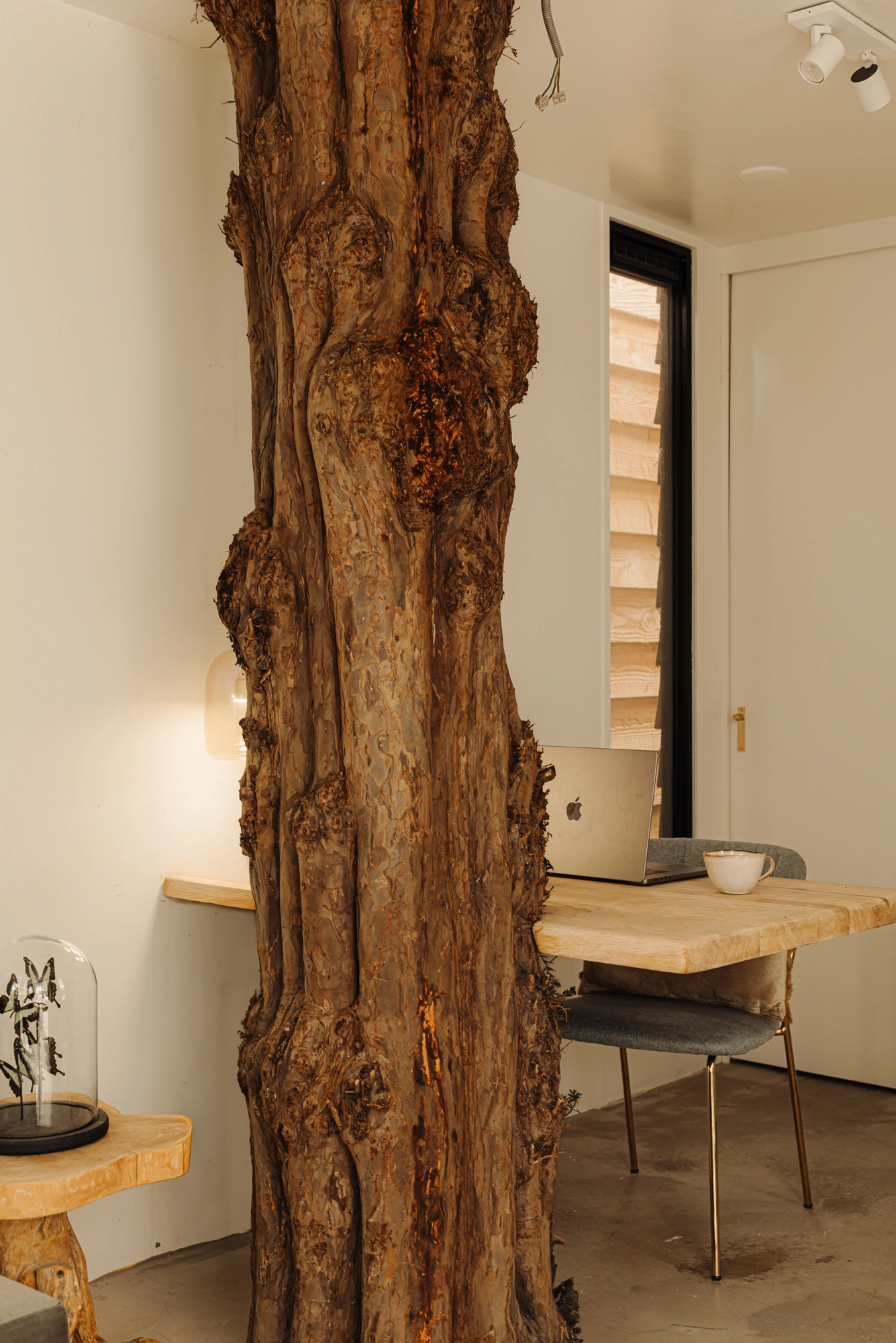 AM106442-2054211-Voltaplein-48H,-Amsterdam-244180588