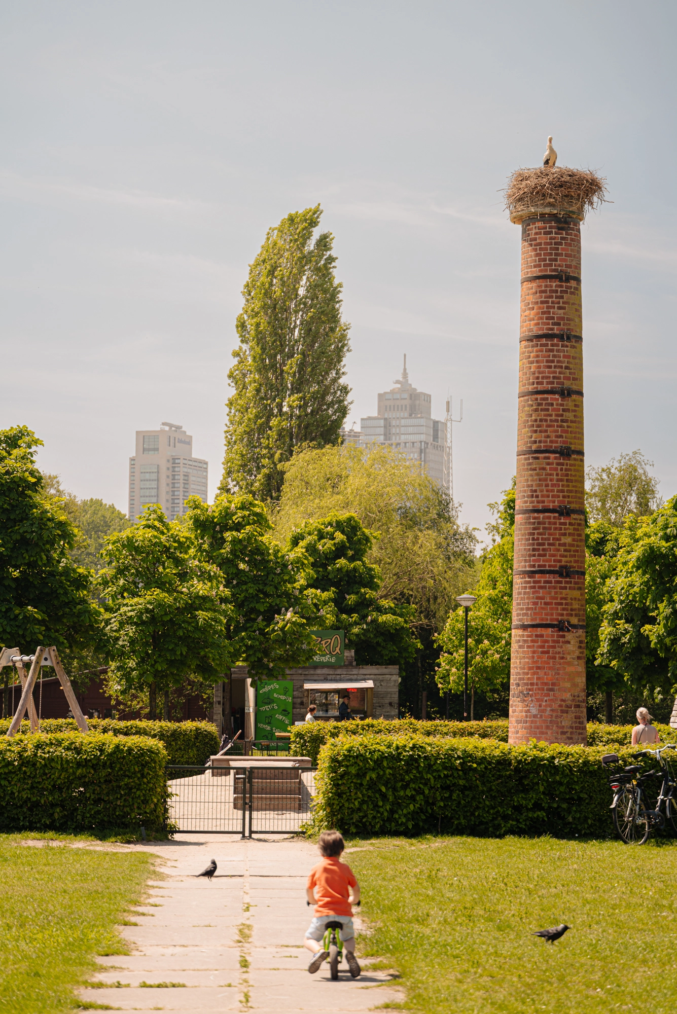 AM106442-2054211-Voltaplein-48H,-Amsterdam-244181036