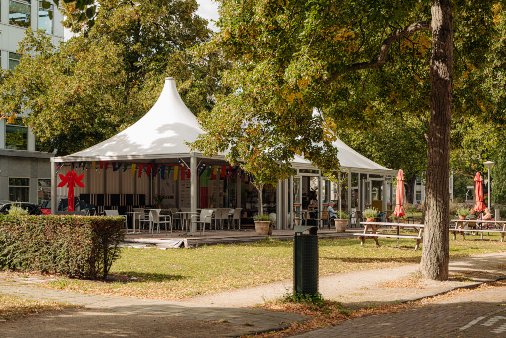 J.J.B. Franswa No. 11 - Afbeelding 5