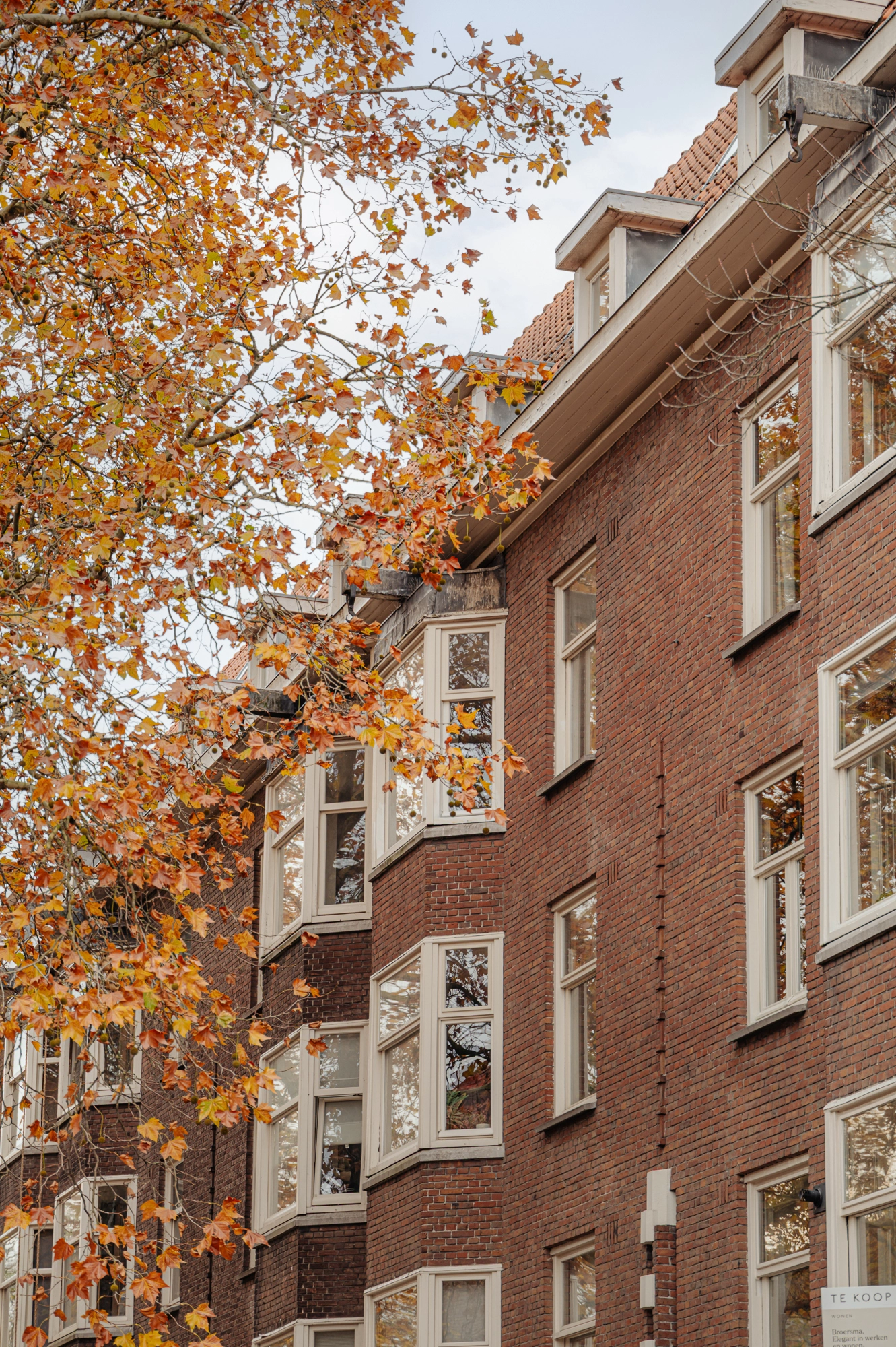 AM106467-2076843-Van-Tuyll-van-Serooskerkenweg-4-3,-Amsterdam-254582004