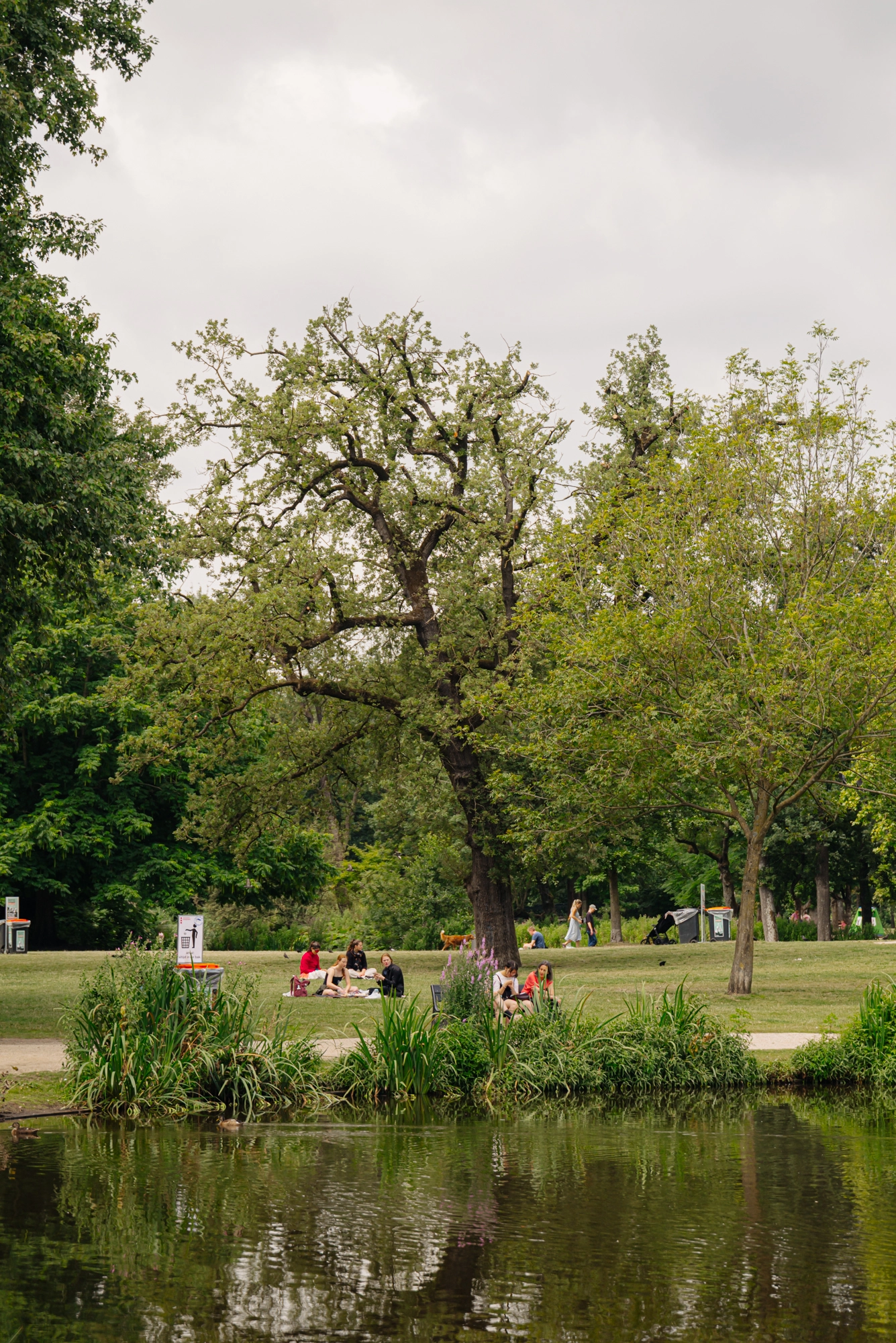 AM106470-2036836-Vondelstraat-66H,-Amsterdam-238337350
