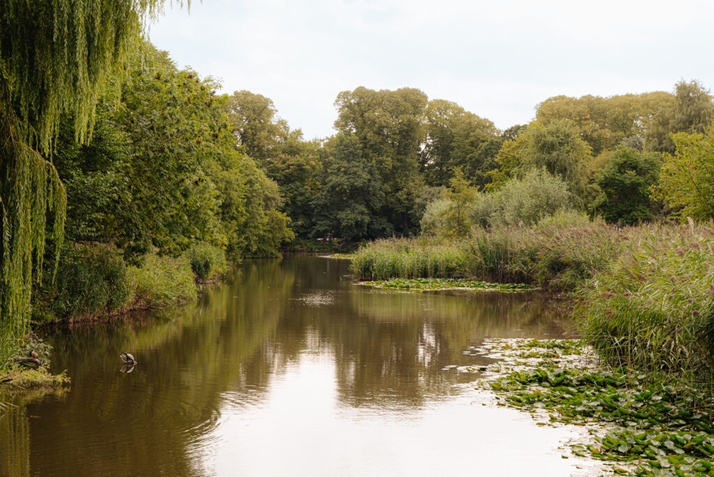 Wakkerstraat 27, Amsterdam - Afbeelding 45
