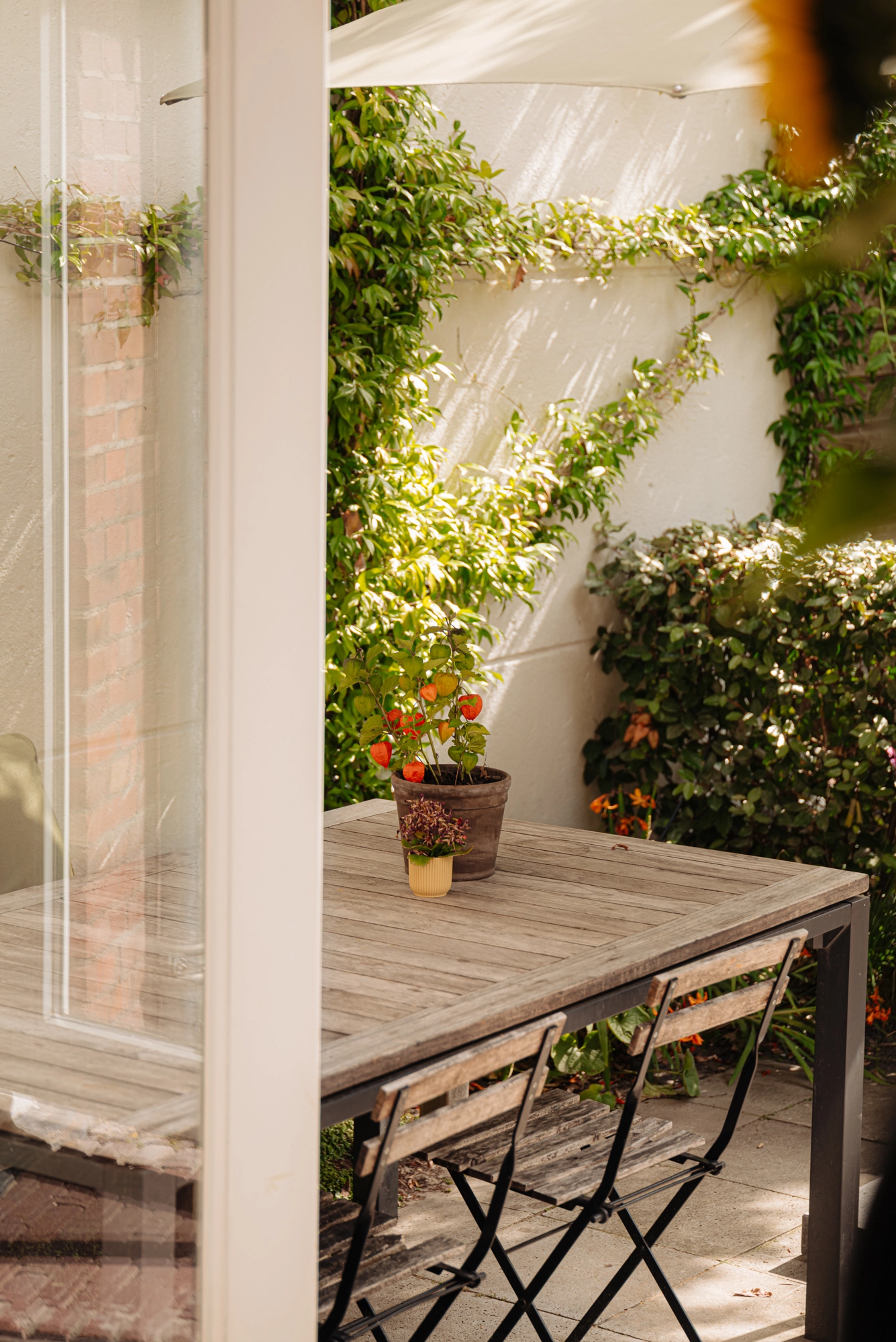 AM106492-2046447-Wakkerstraat-27,-Amsterdam-243291624