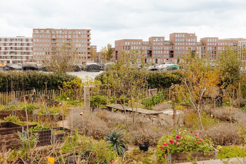 Smalschipstraat 31, Amsterdam - Afbeelding 73