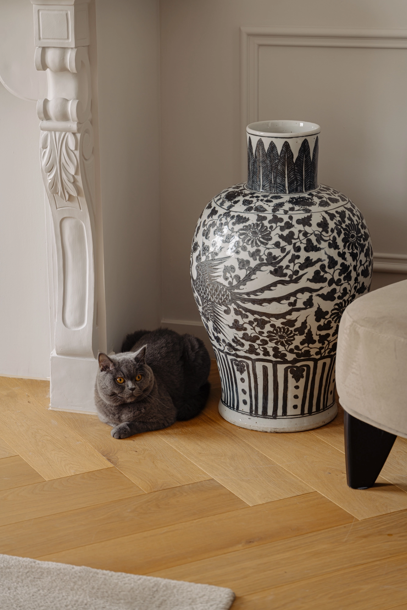 AM106571-2043768-Tweede-Jan-van-der-Heijdenstraat-92-3,-Amsterdam-241875570