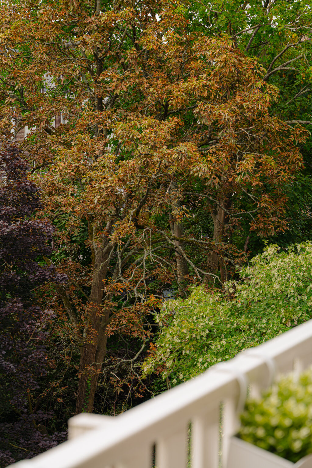 Tweede Jan van der Heijdenstraat 92-3, Amsterdam - Afbeelding 34