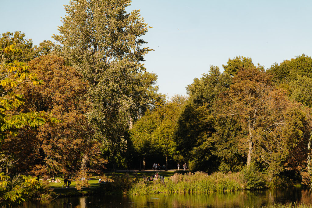 Oranje Nassaulaan 53-2, Amsterdam - Afbeelding 42