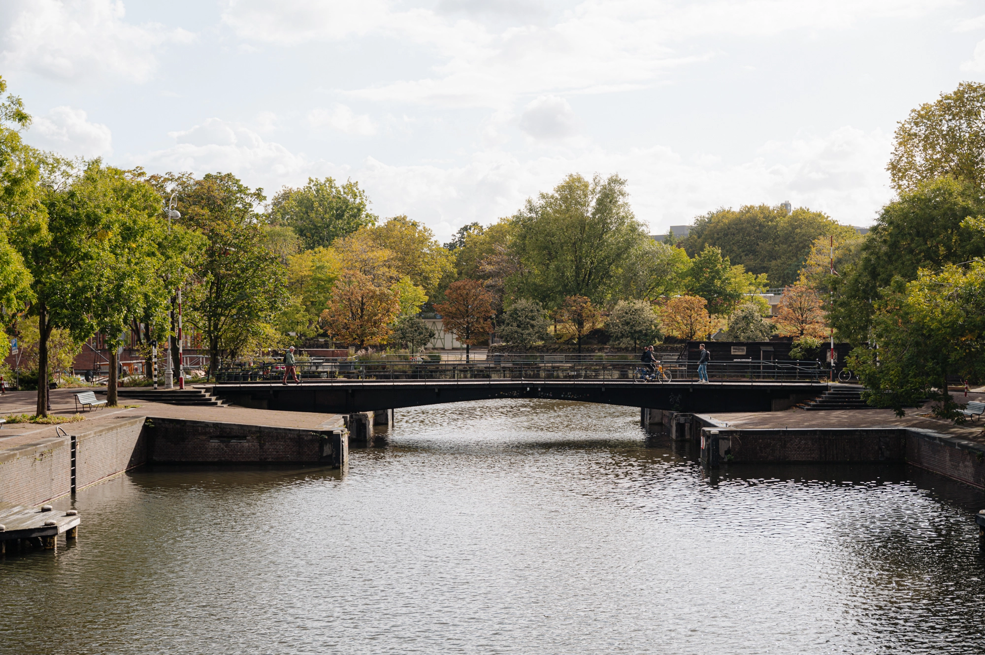 AM106636-2064417-Sarphatistraat-221B,-Amsterdam-246202144